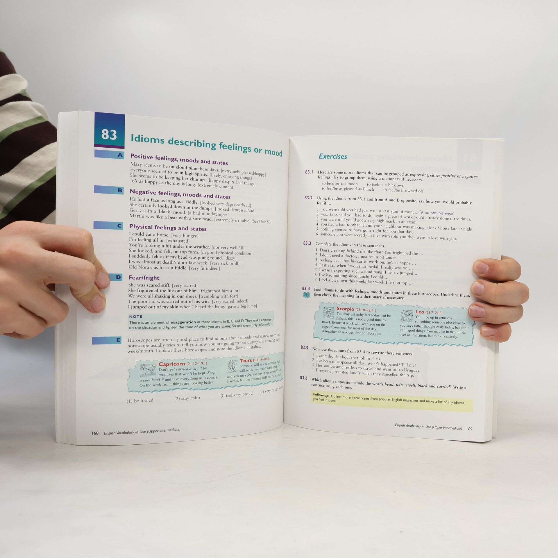 Michael McCarthy English Vocabulary in Use: Upper-Intermediate
