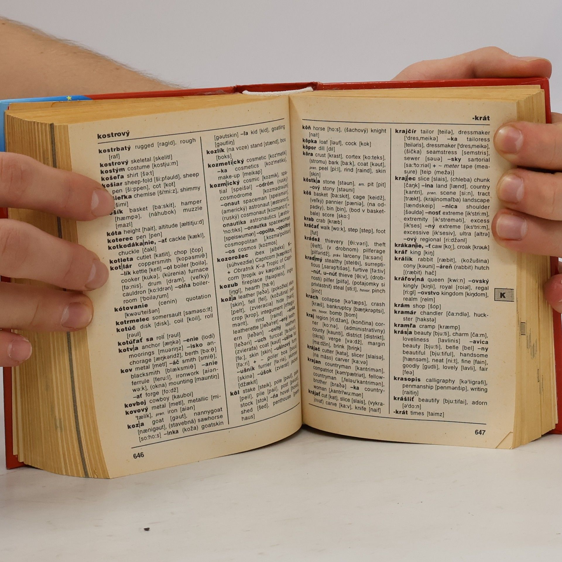 Autorenkollektiv Vreckový anglicko slovenský, slovensko anglický slovník