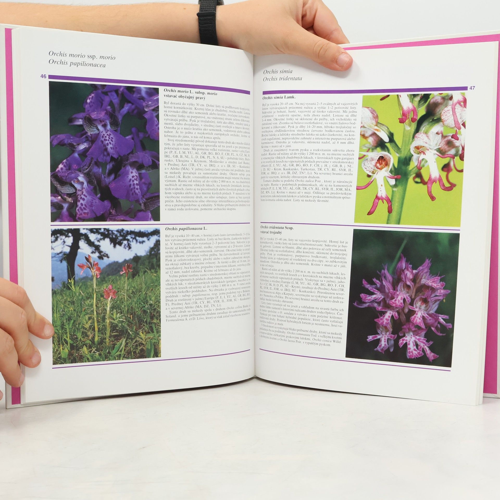 Oldřich Potůček Všetko o orchideách