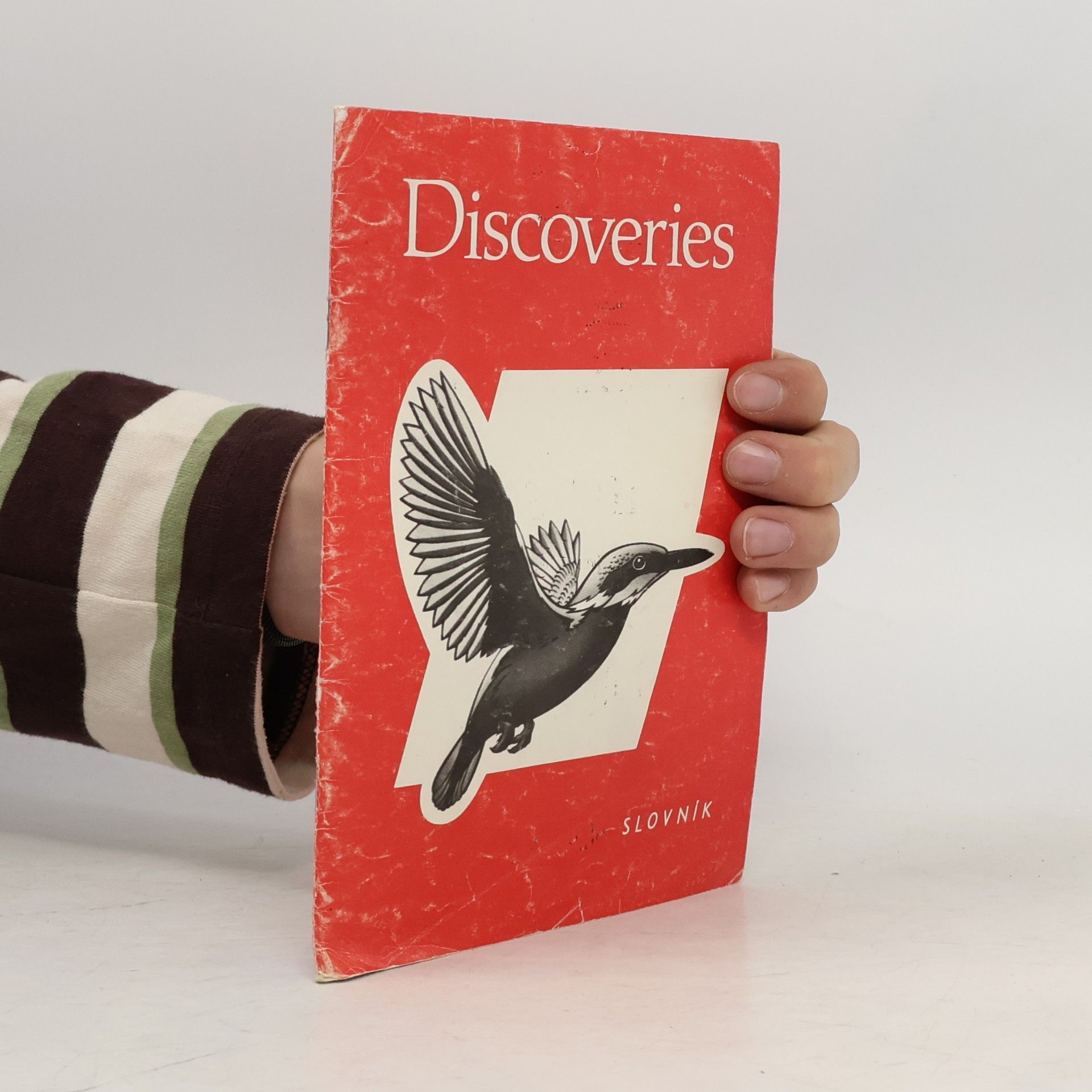 Ľubica Pecňová Discoveries. Slovník
