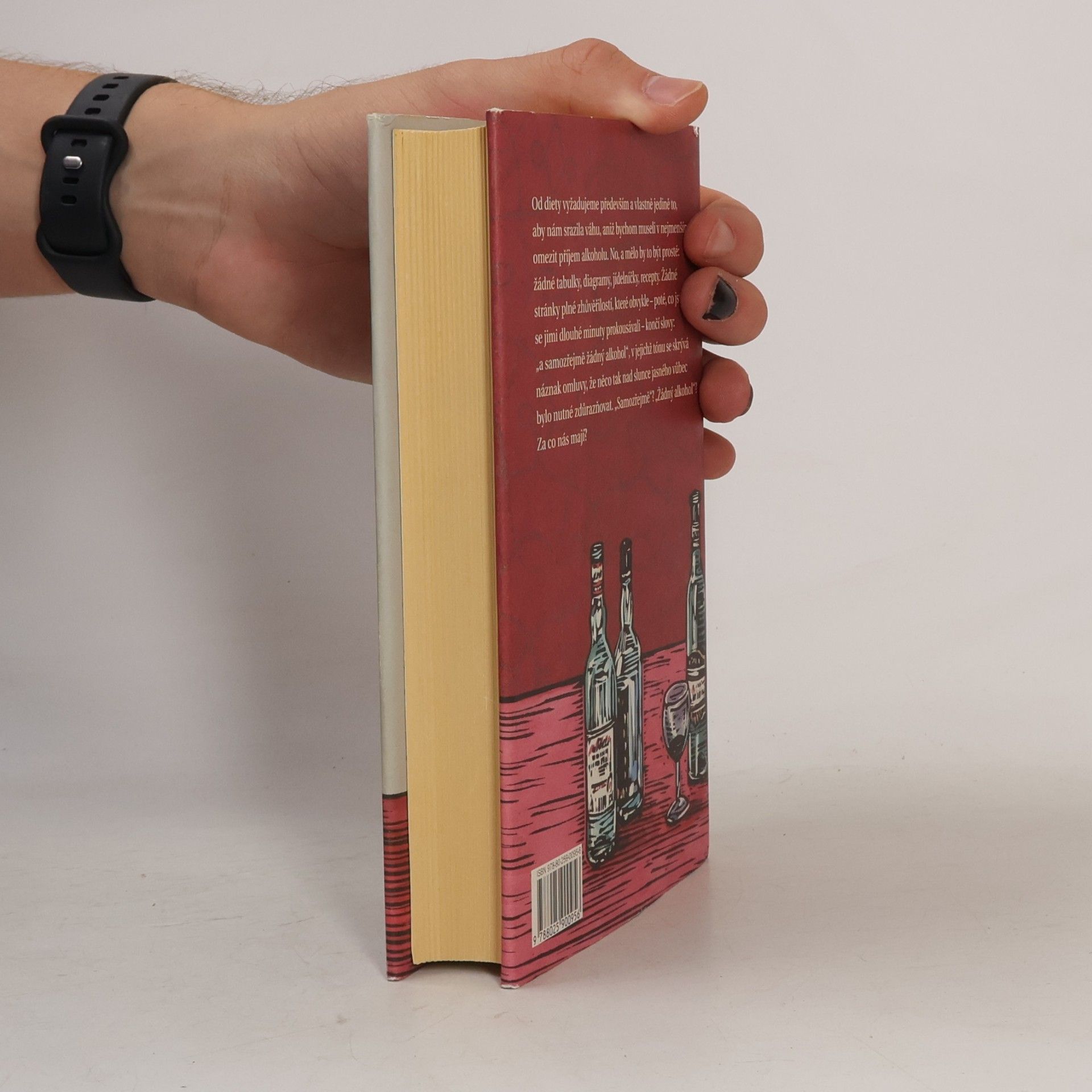 Kingsley Amis Manuál každodenního pijáka