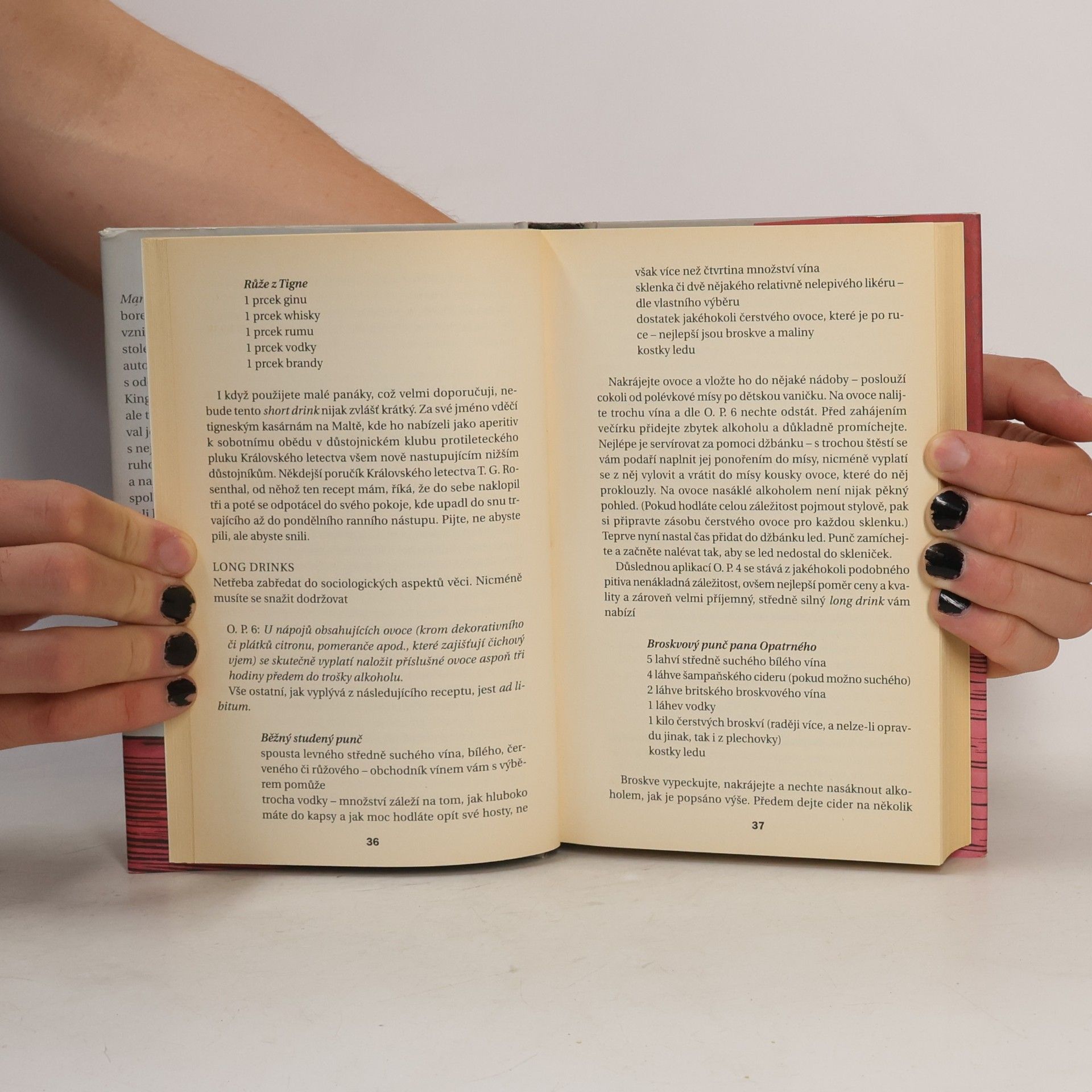 Kingsley Amis Manuál každodenního pijáka