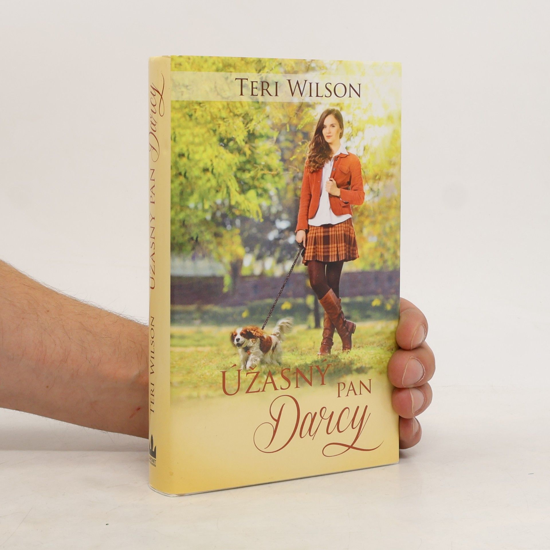 Teri Wilson Úžasný pan Darcy