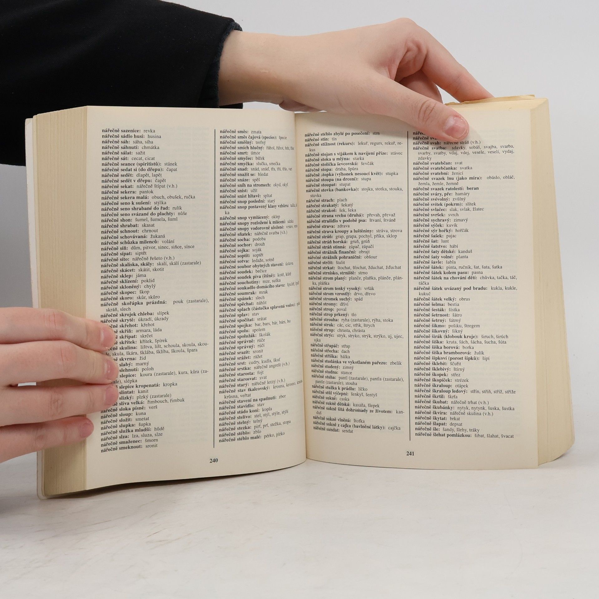 Autorenkollektiv Křížovkářský slovník