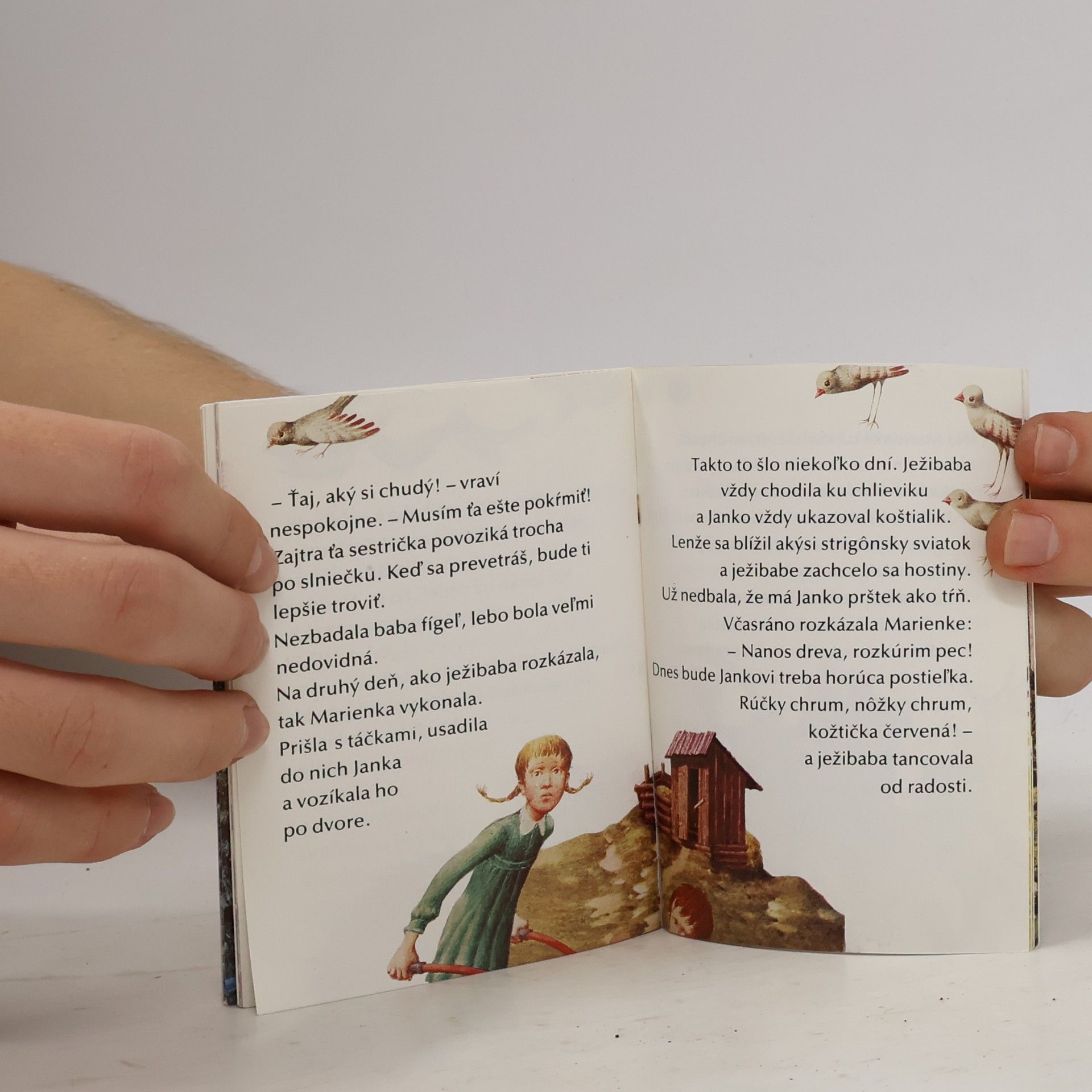 Autorenkollektiv O medovníkovom domčeku