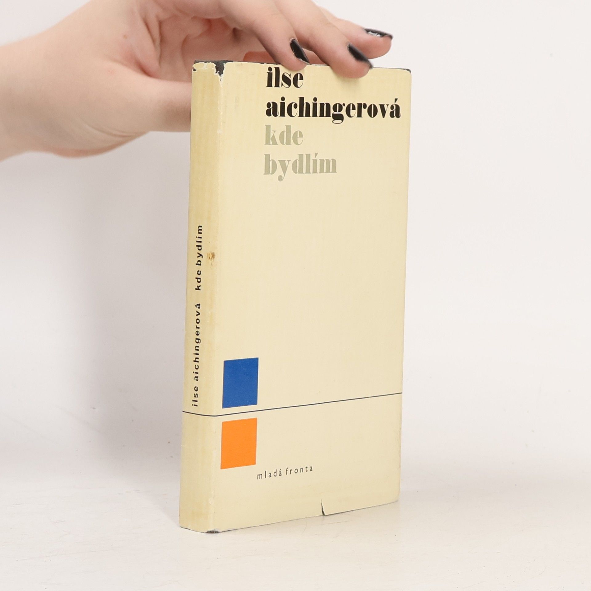 Ilse Aichinger Kde bydlím