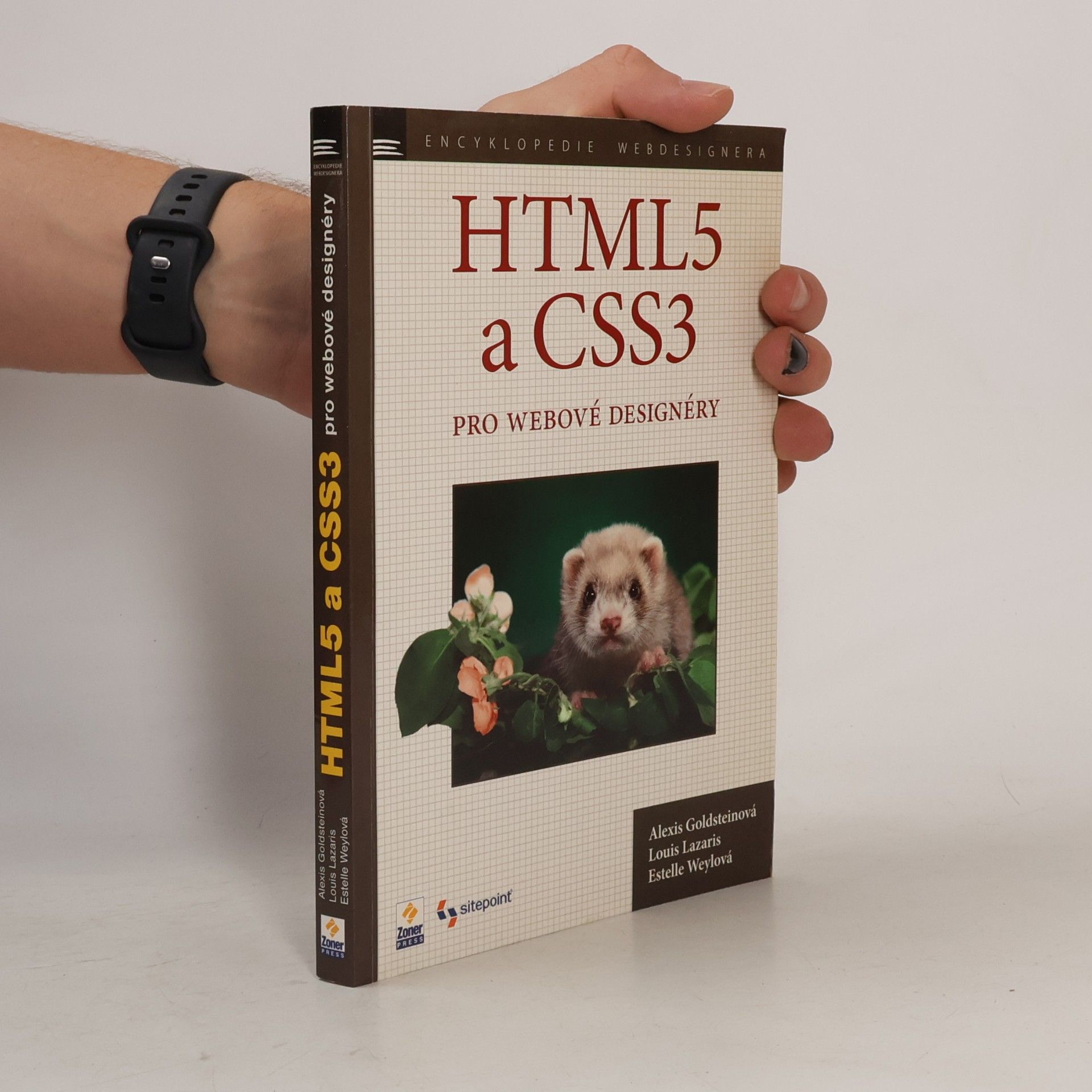 Estelle Weyl HTML5 a CSS3 pro webové designéry
