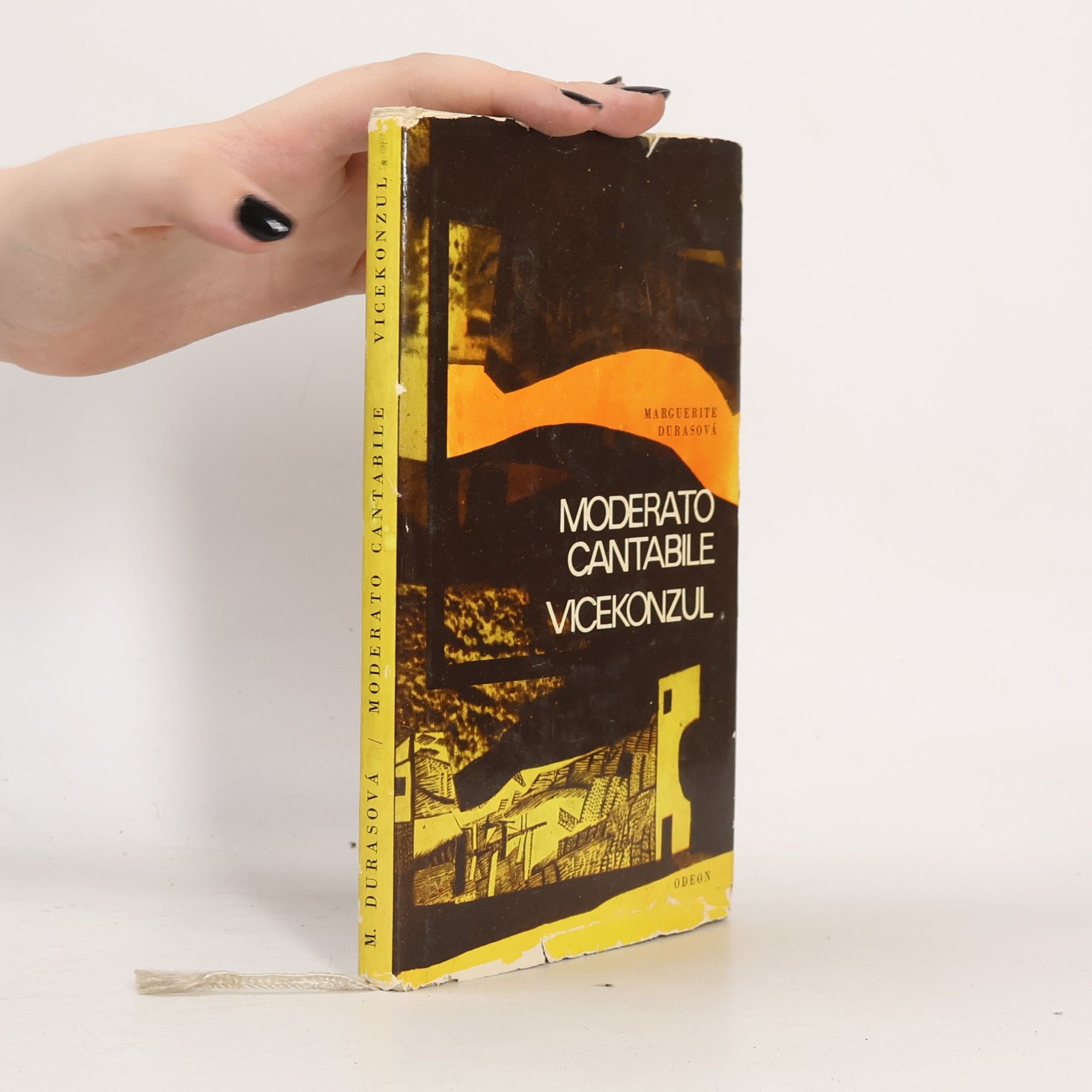 Marguerite Duras Moderato cantabile, Vicekonzul