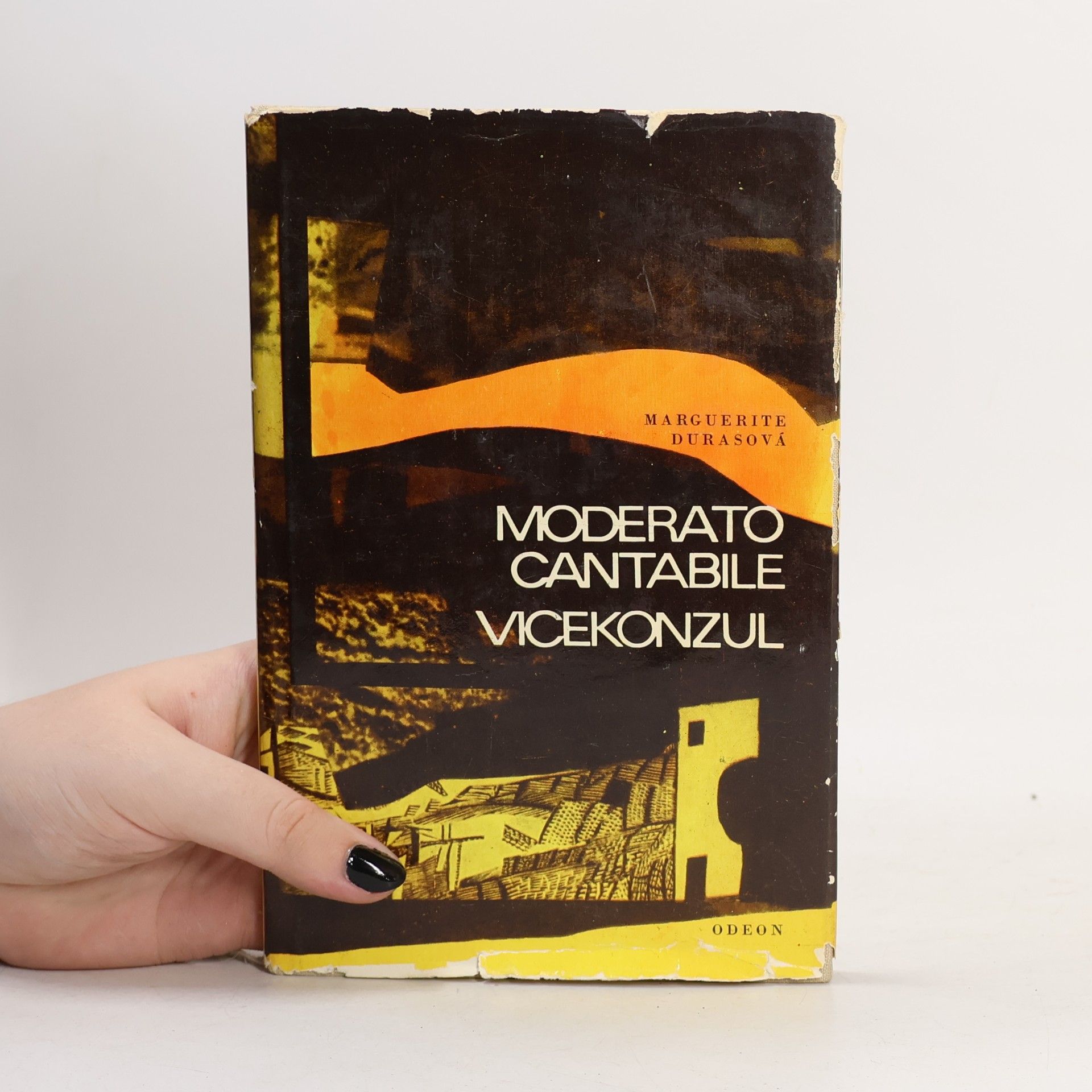 Marguerite Duras Moderato cantabile, Vicekonzul