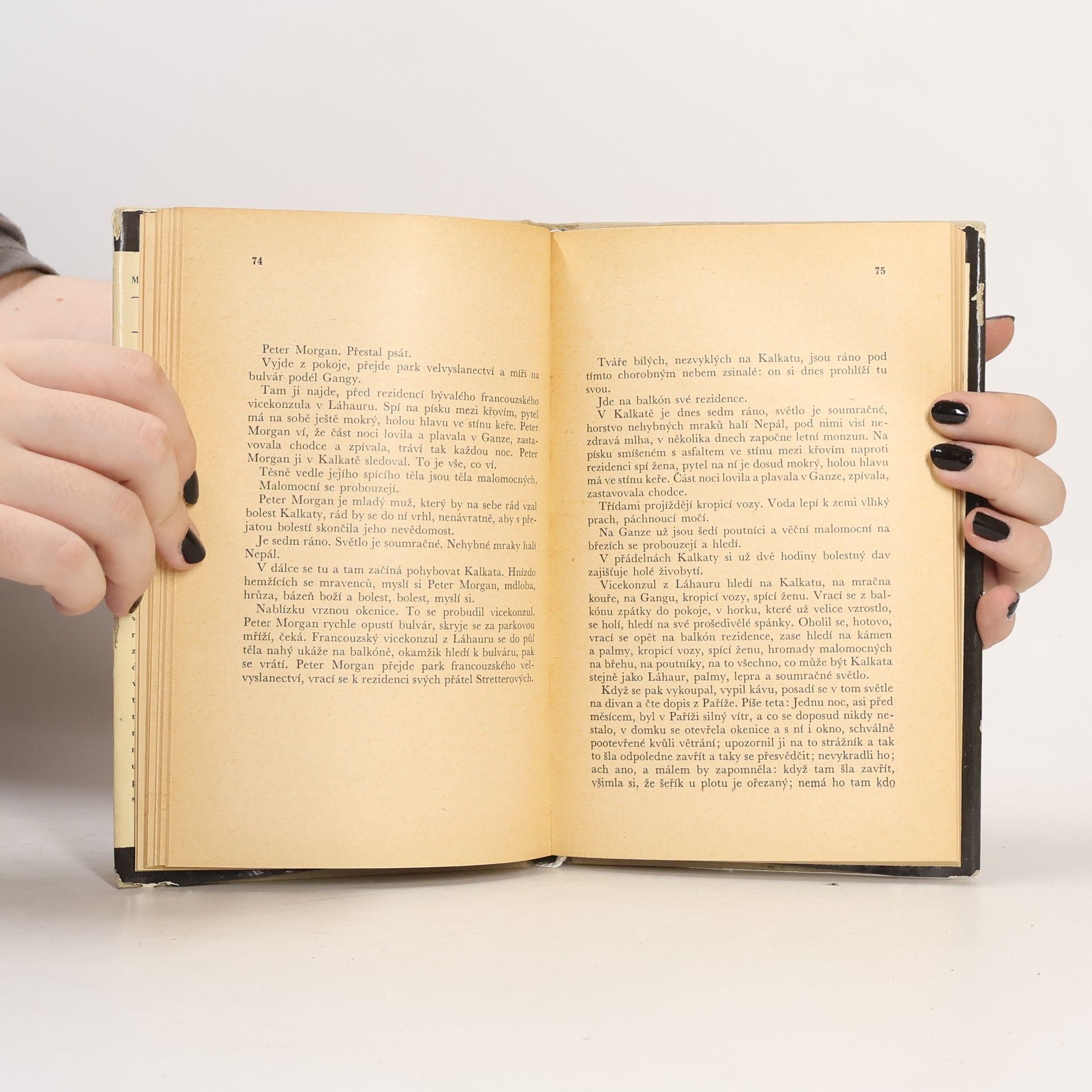 Marguerite Duras Moderato cantabile, Vicekonzul