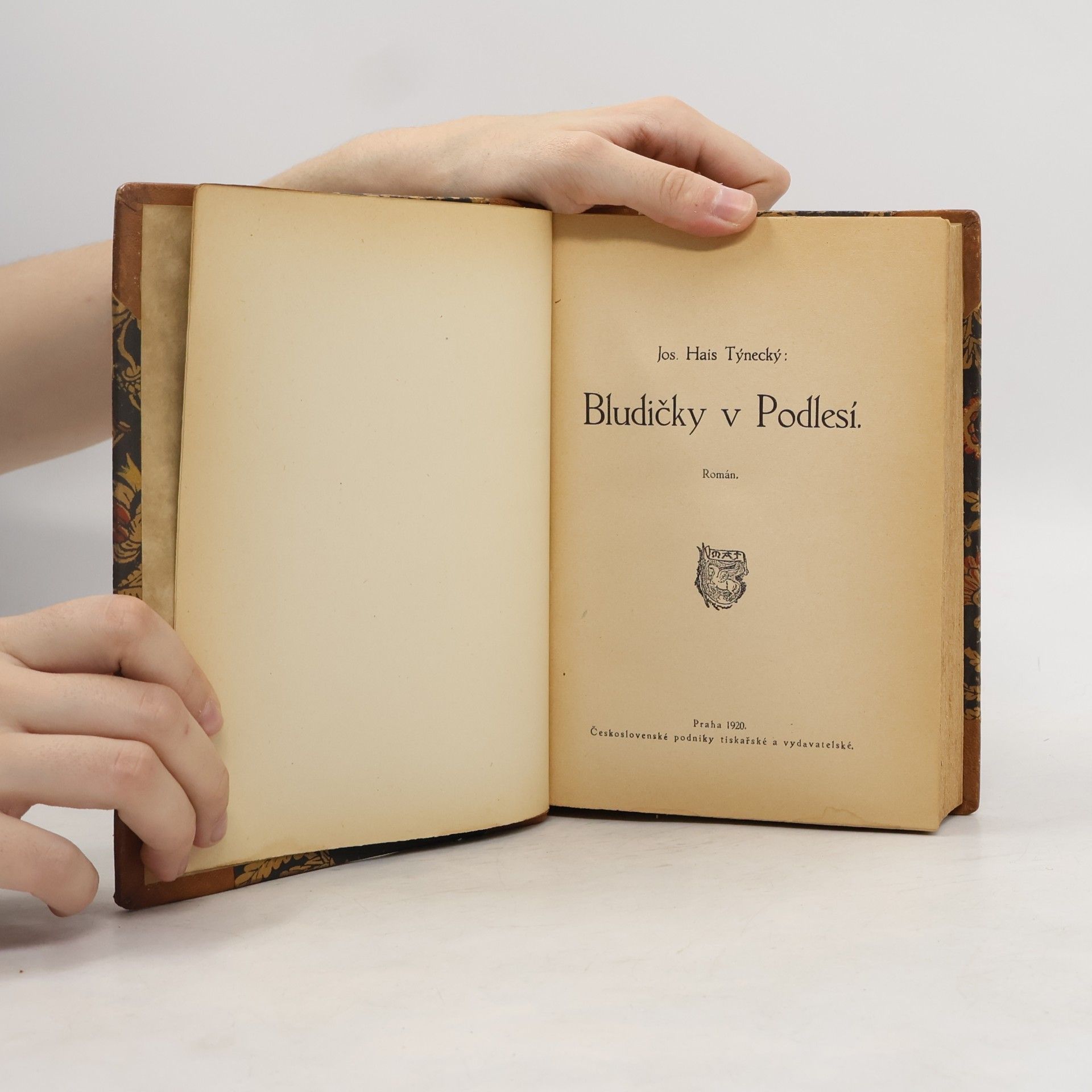 Josef Hais Týnecký Bludičky v podlesí I.