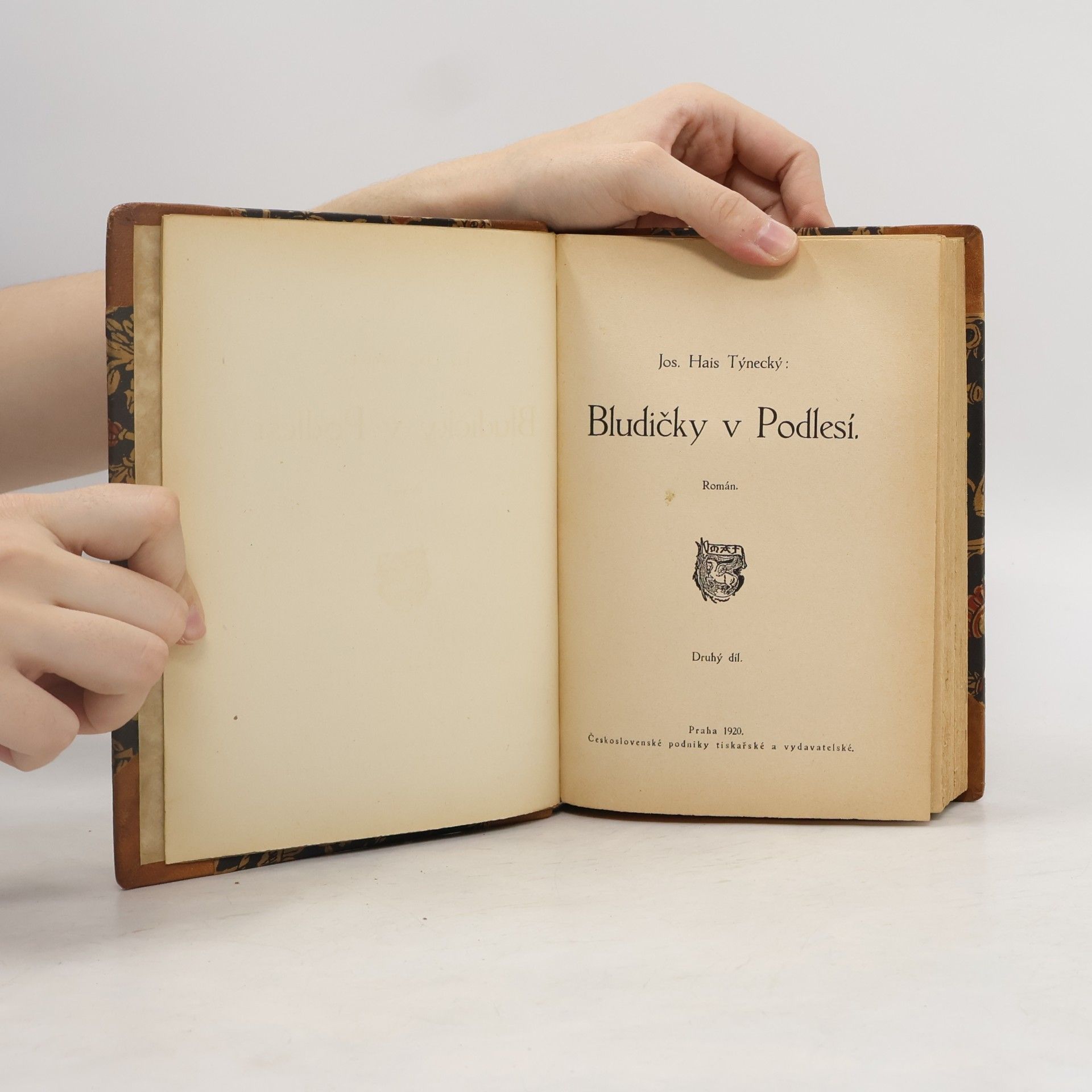 Jos. Holeček Budičky v Podlesí II.