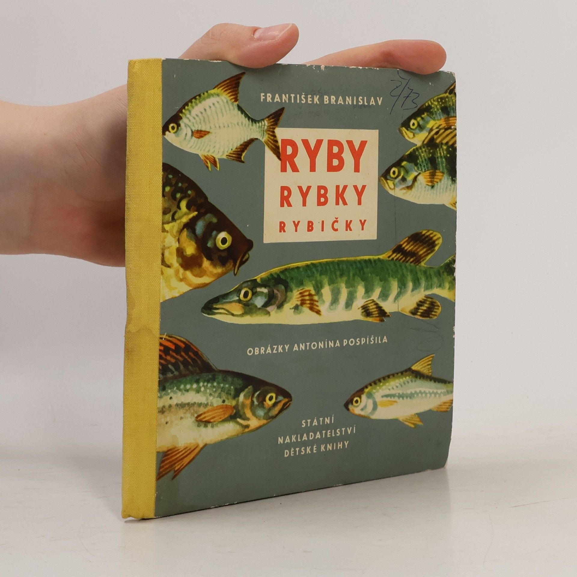 Ryby, rybky, rybičky