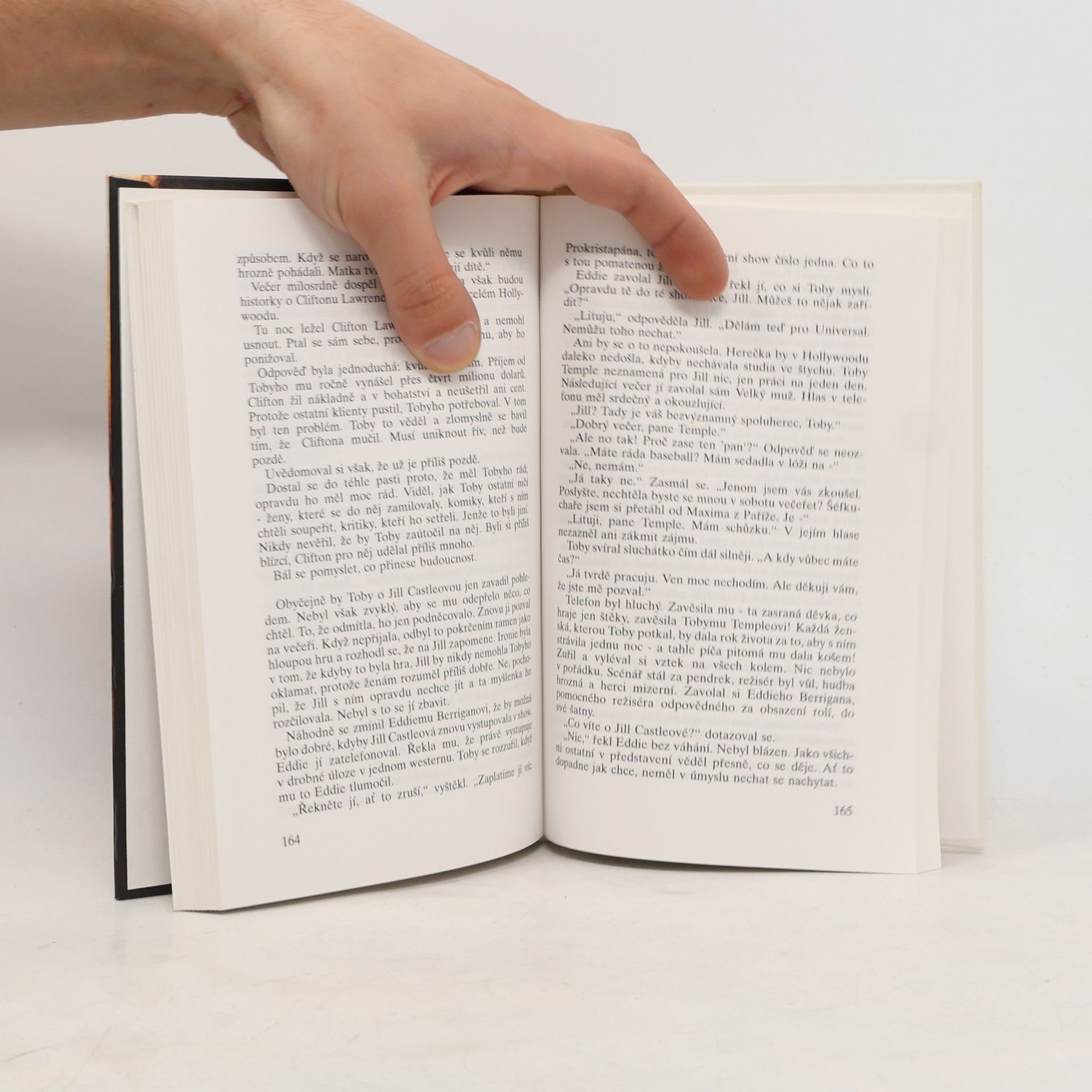 Sidney Sheldon Cizinec v zrcadle
