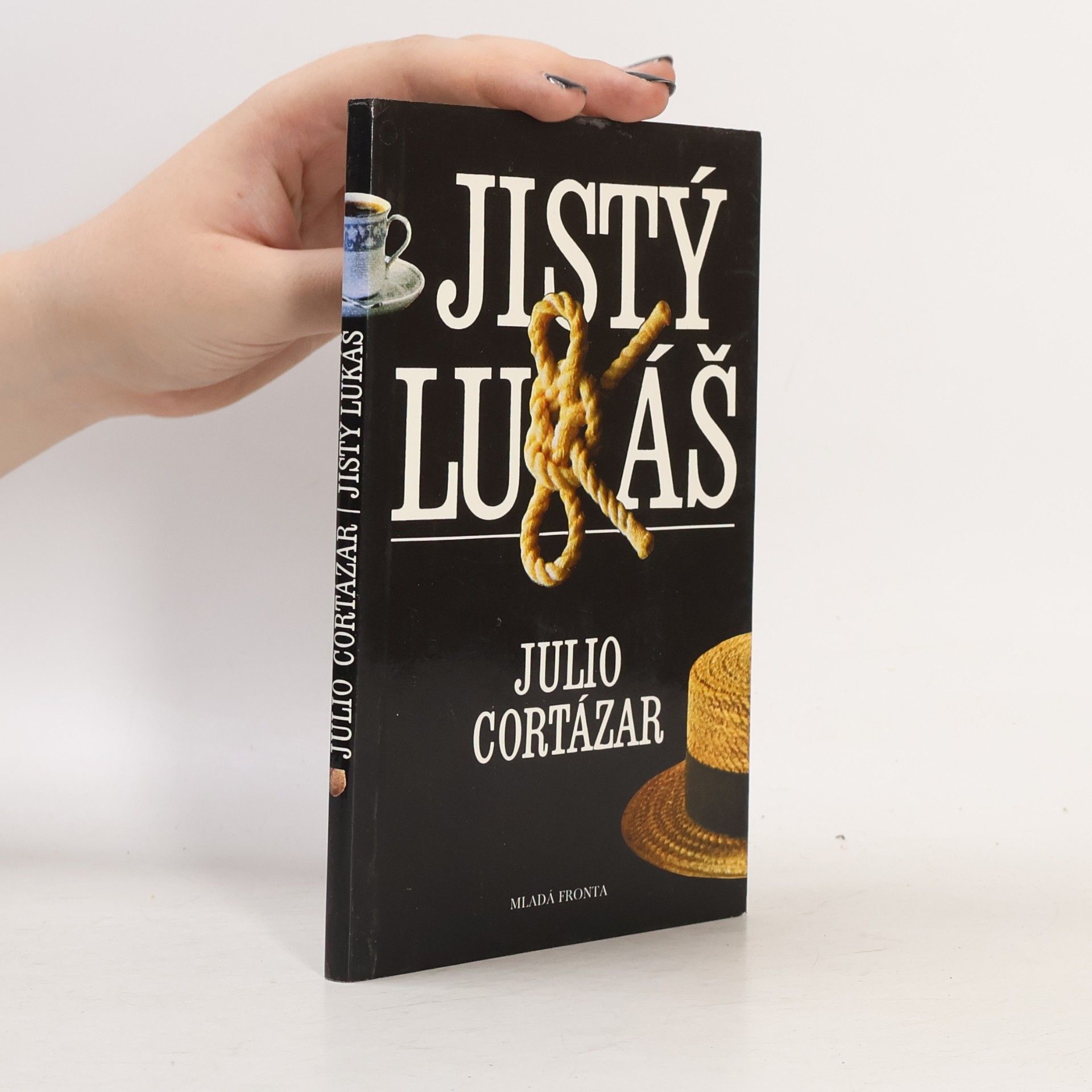 Julio Cortázar Jistý Lukáš