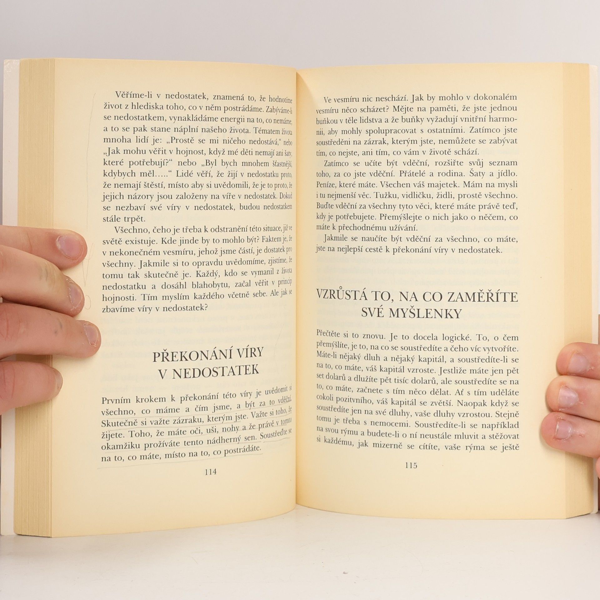 Wayne W. Dyer Uvidíte to, až tomu uvěříte