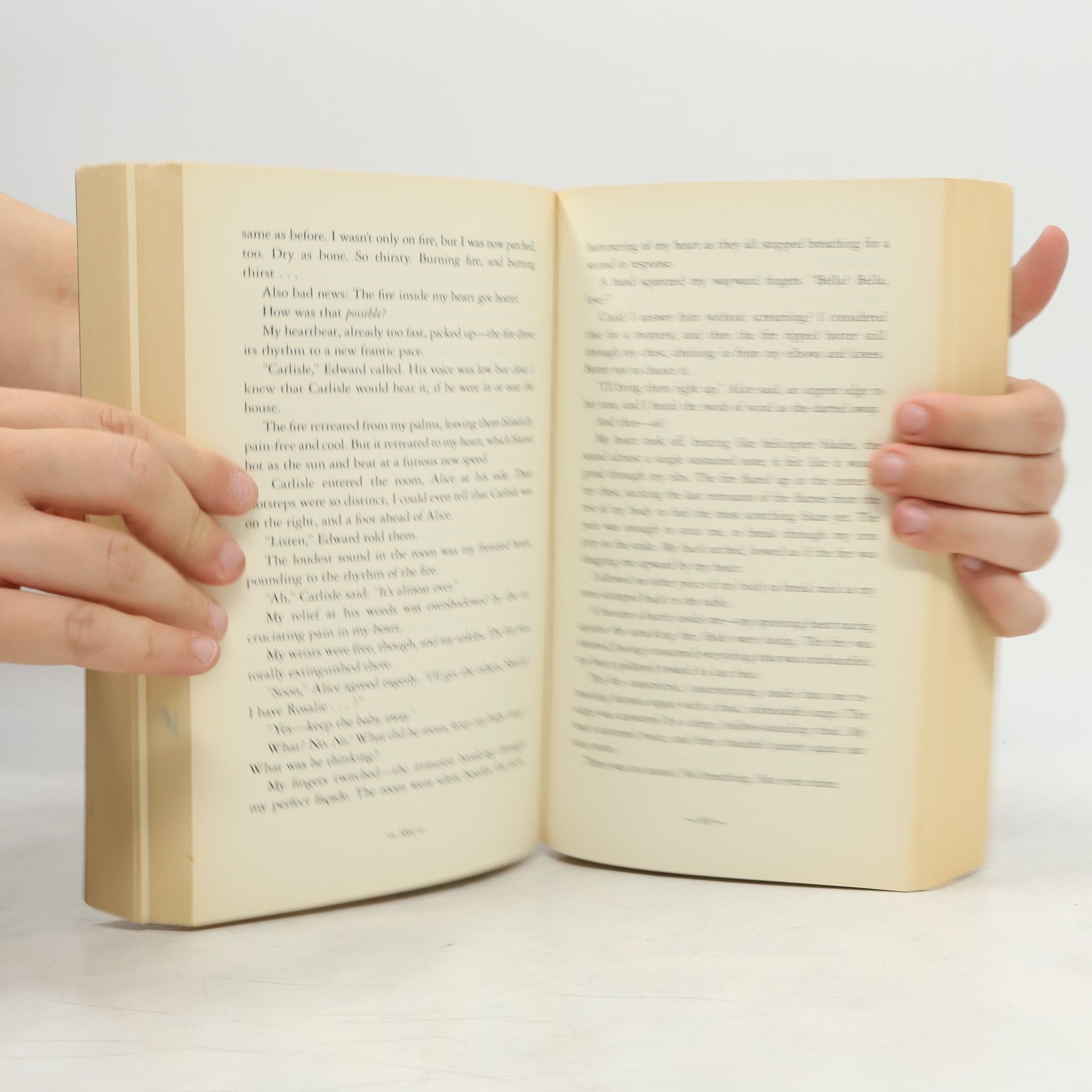 Stephenie Meyer Breaking Dawn