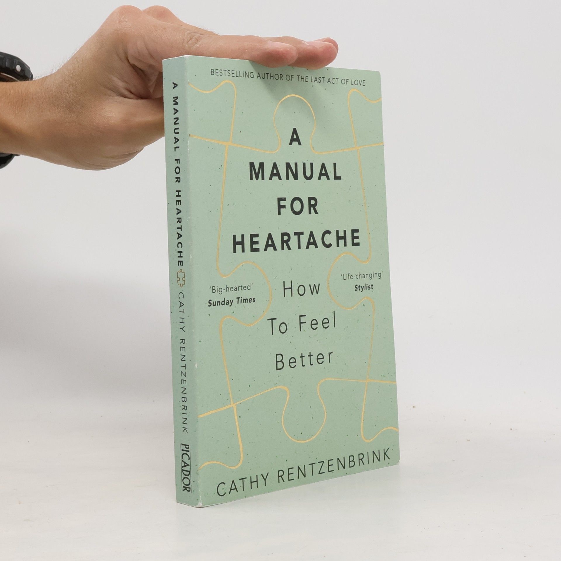 Cathy Rentzenbrink A Manual for Heartache
