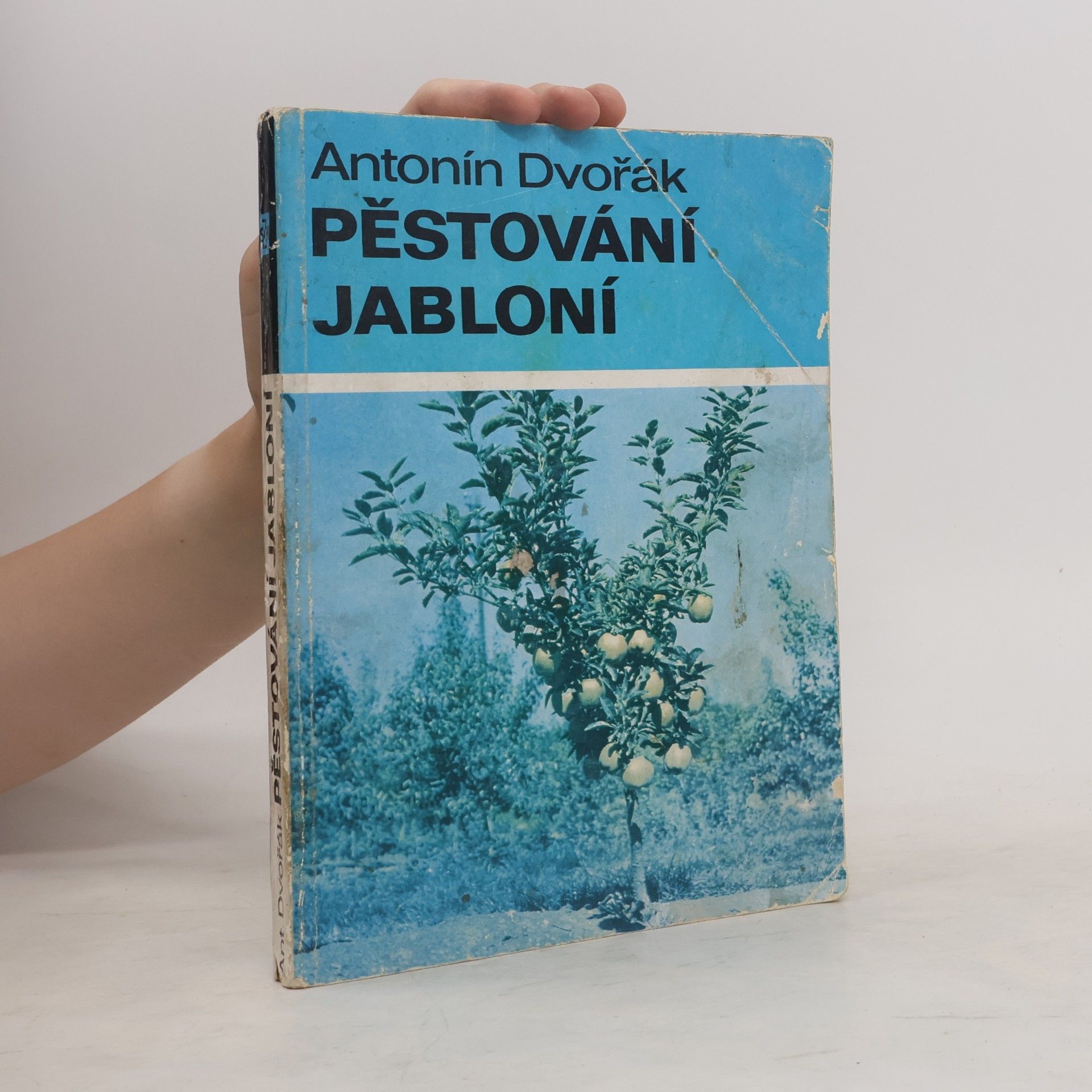 Pěstování jabloní