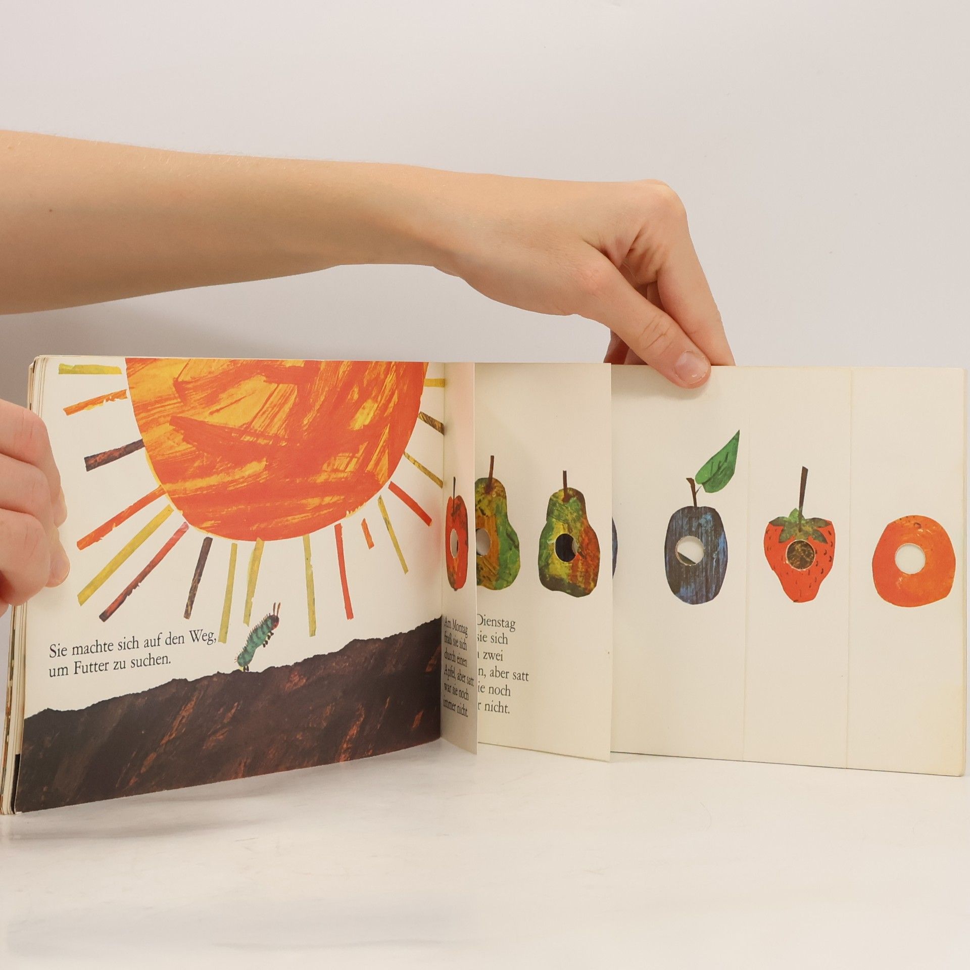 Eric Carle Die kleine Raupe Nimmersatt