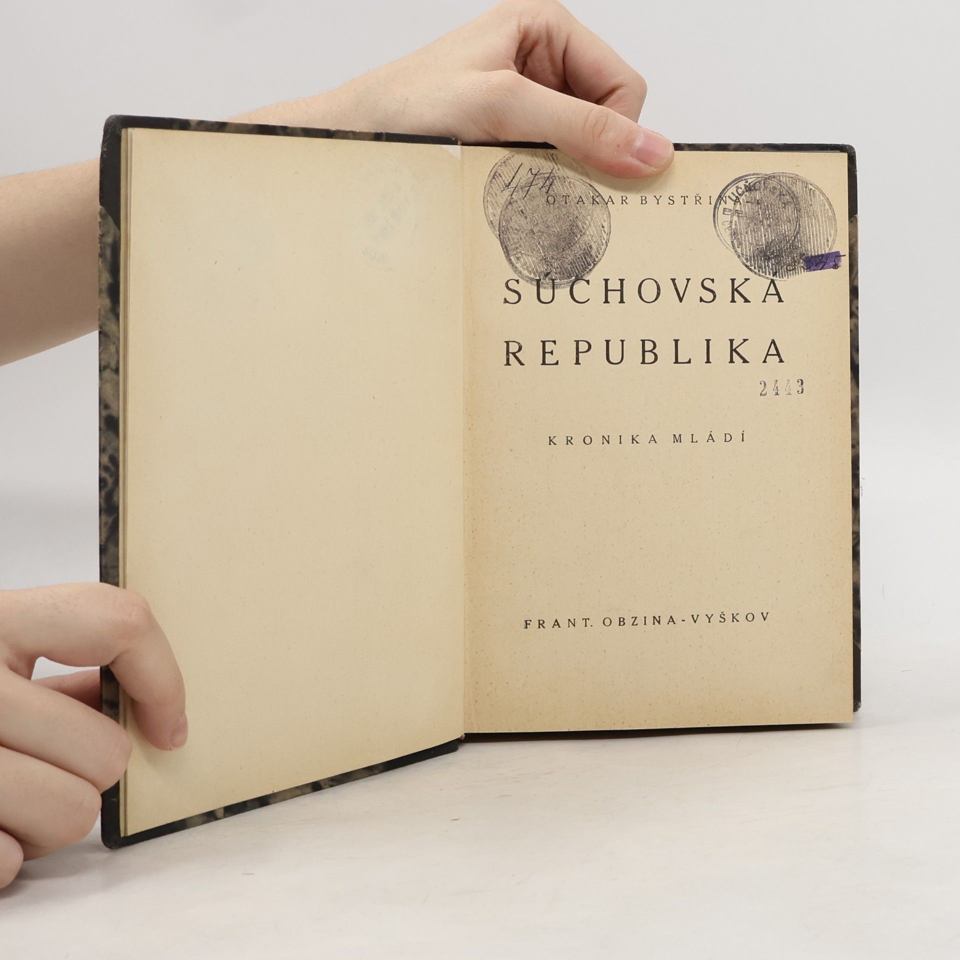 Otakar Bystřina Súchovská republika: Kronika mládí