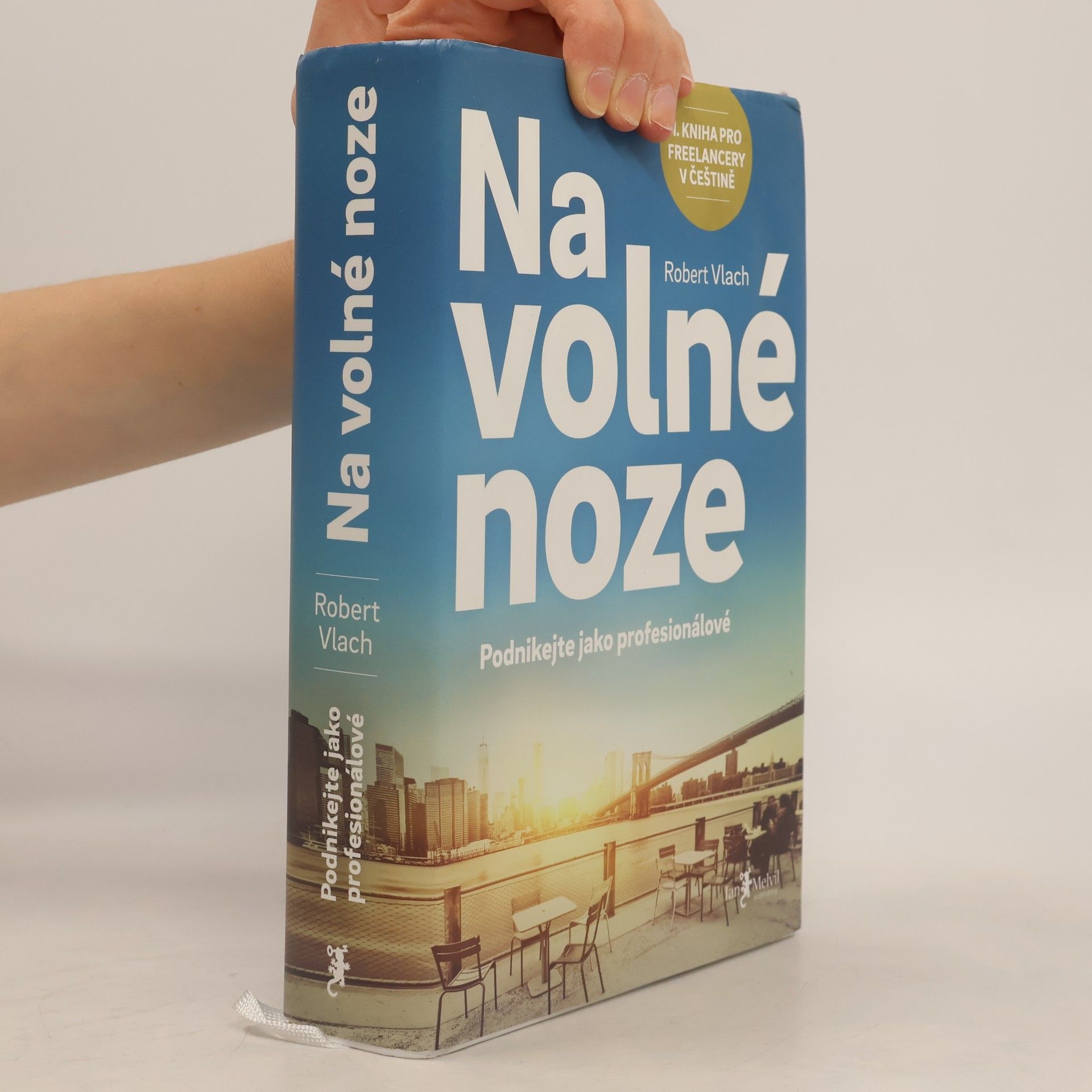 Robert Vlach Na volné noze