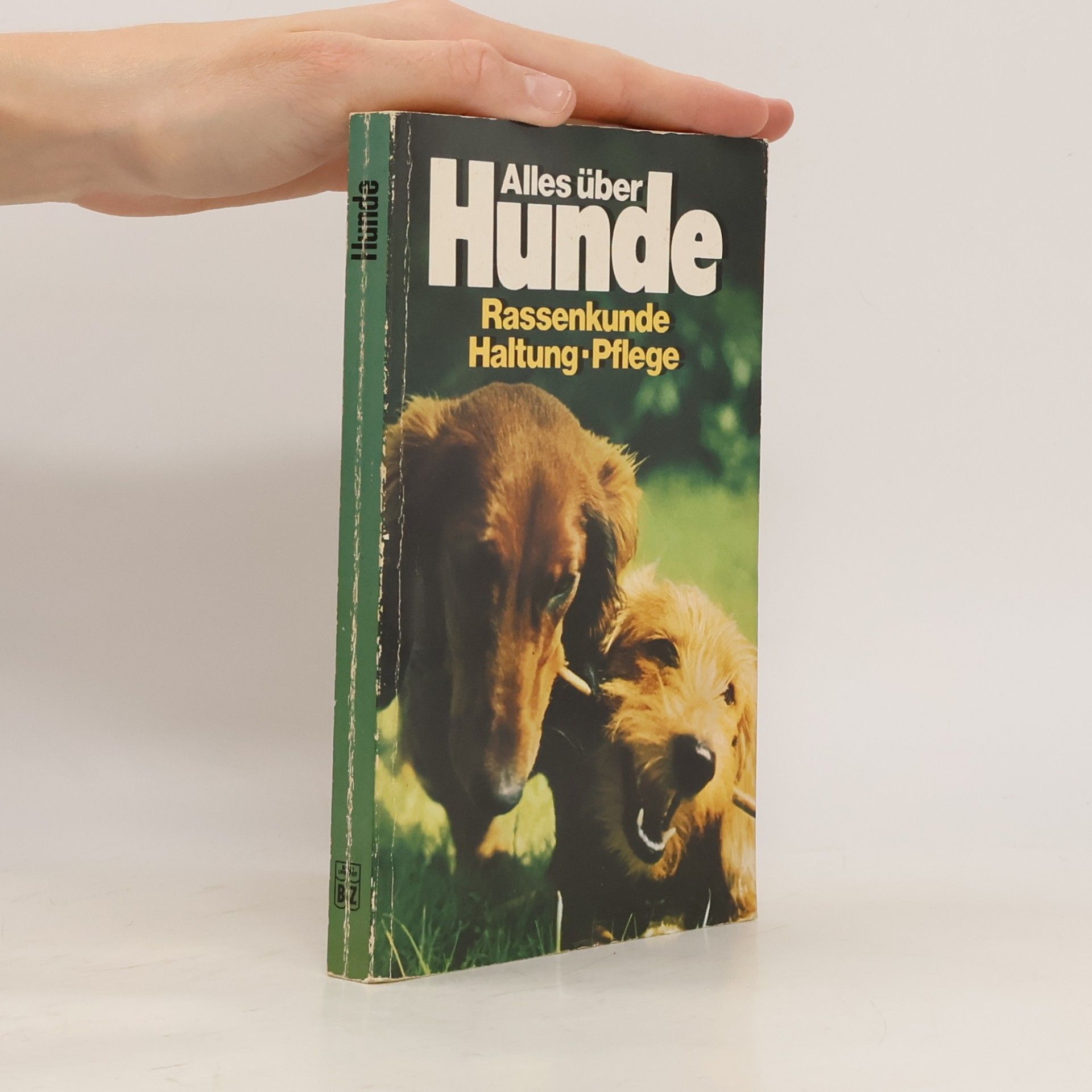 Kolektív autorov Alles über Hunde