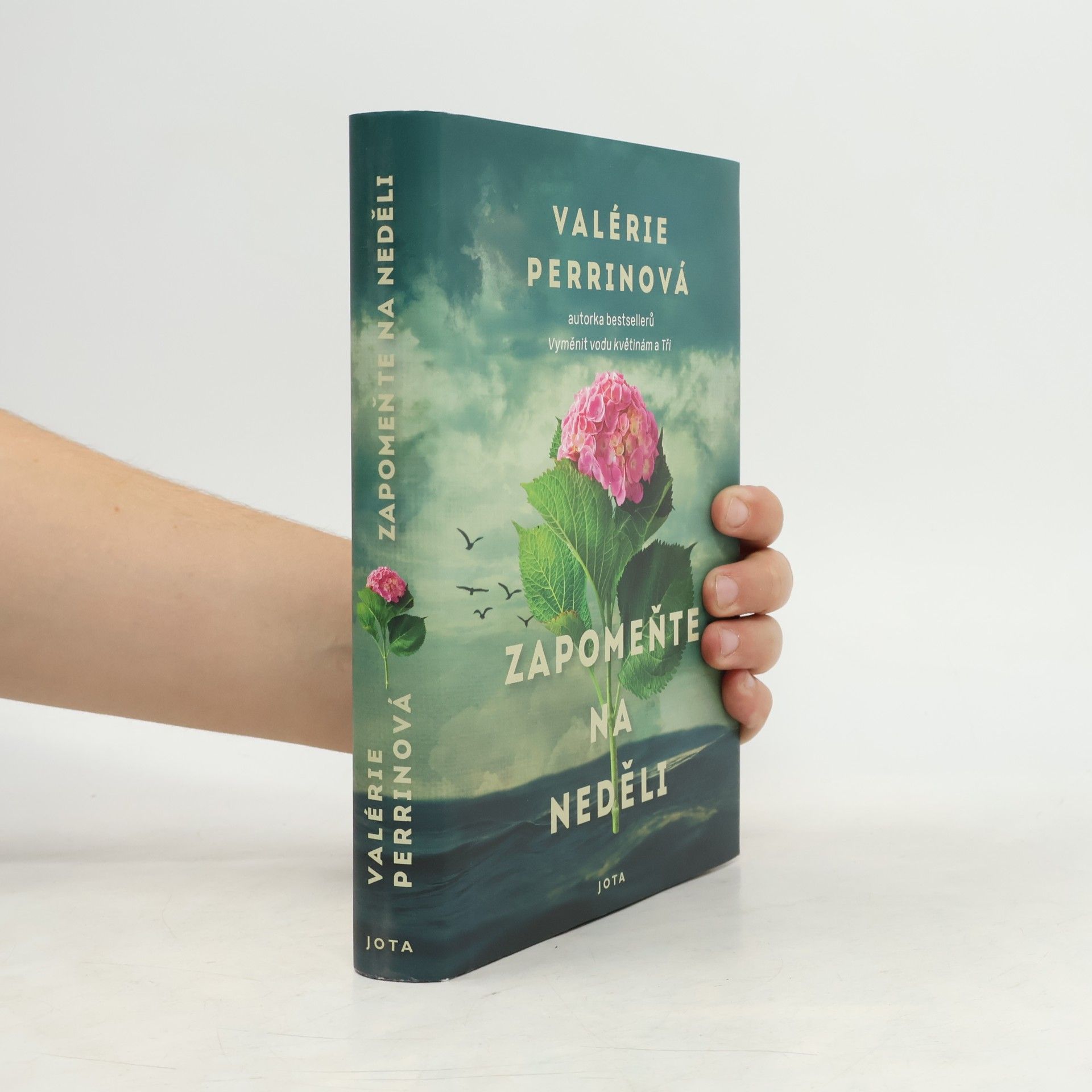 Valérie Perrin Zapomeňte na neděli