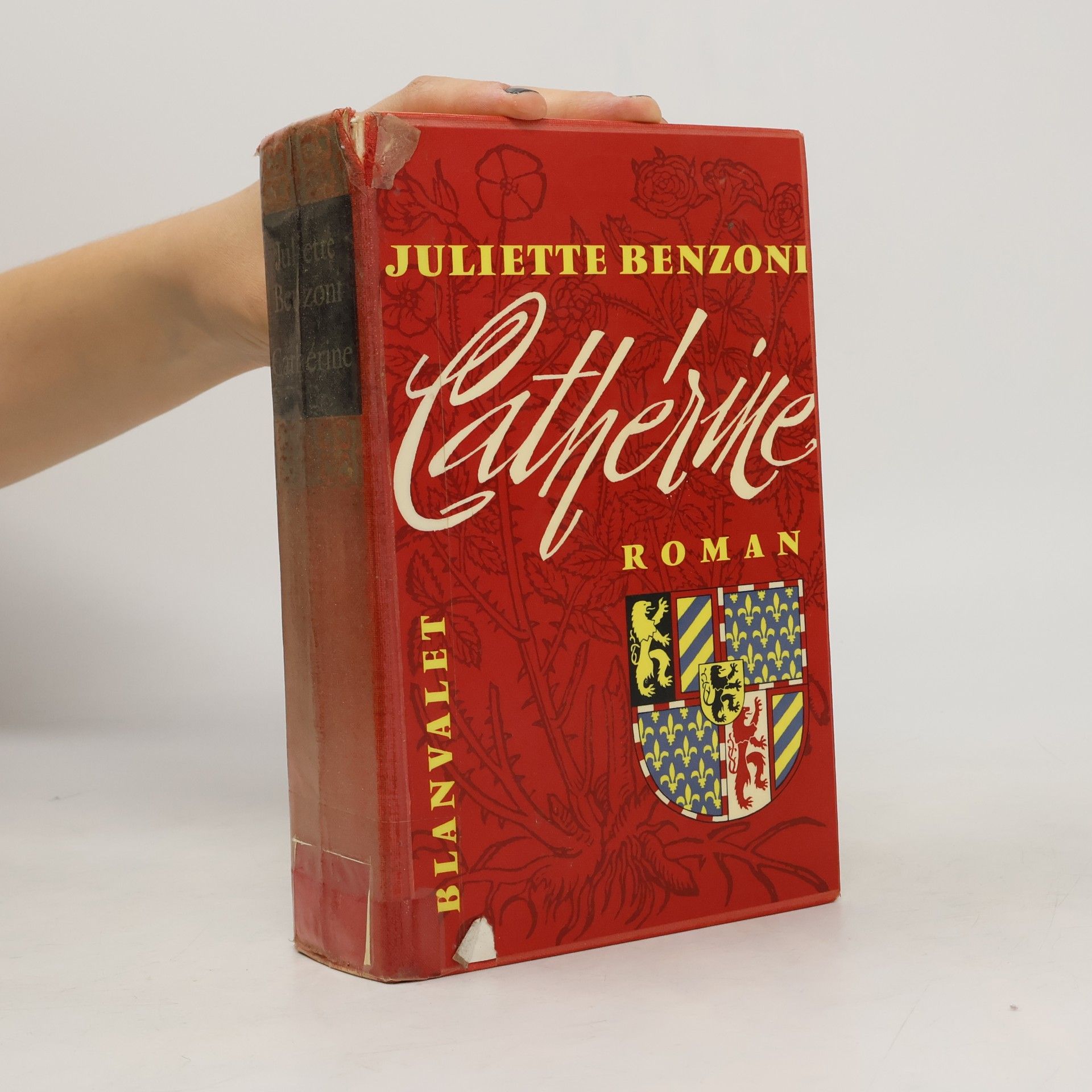 Juliette Benzoni Catherine
