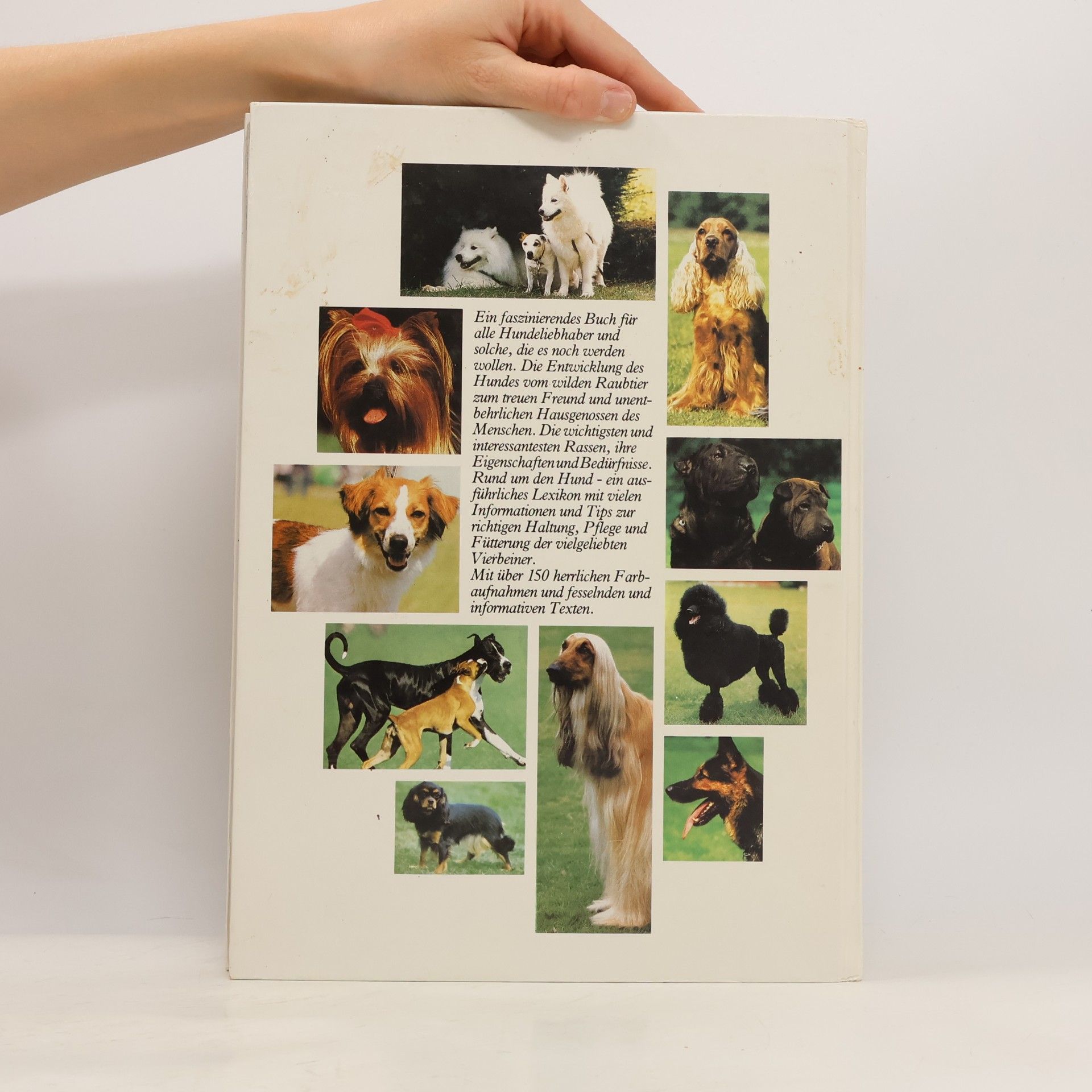 Autorenkollektiv Bilderlexikon der Hunde