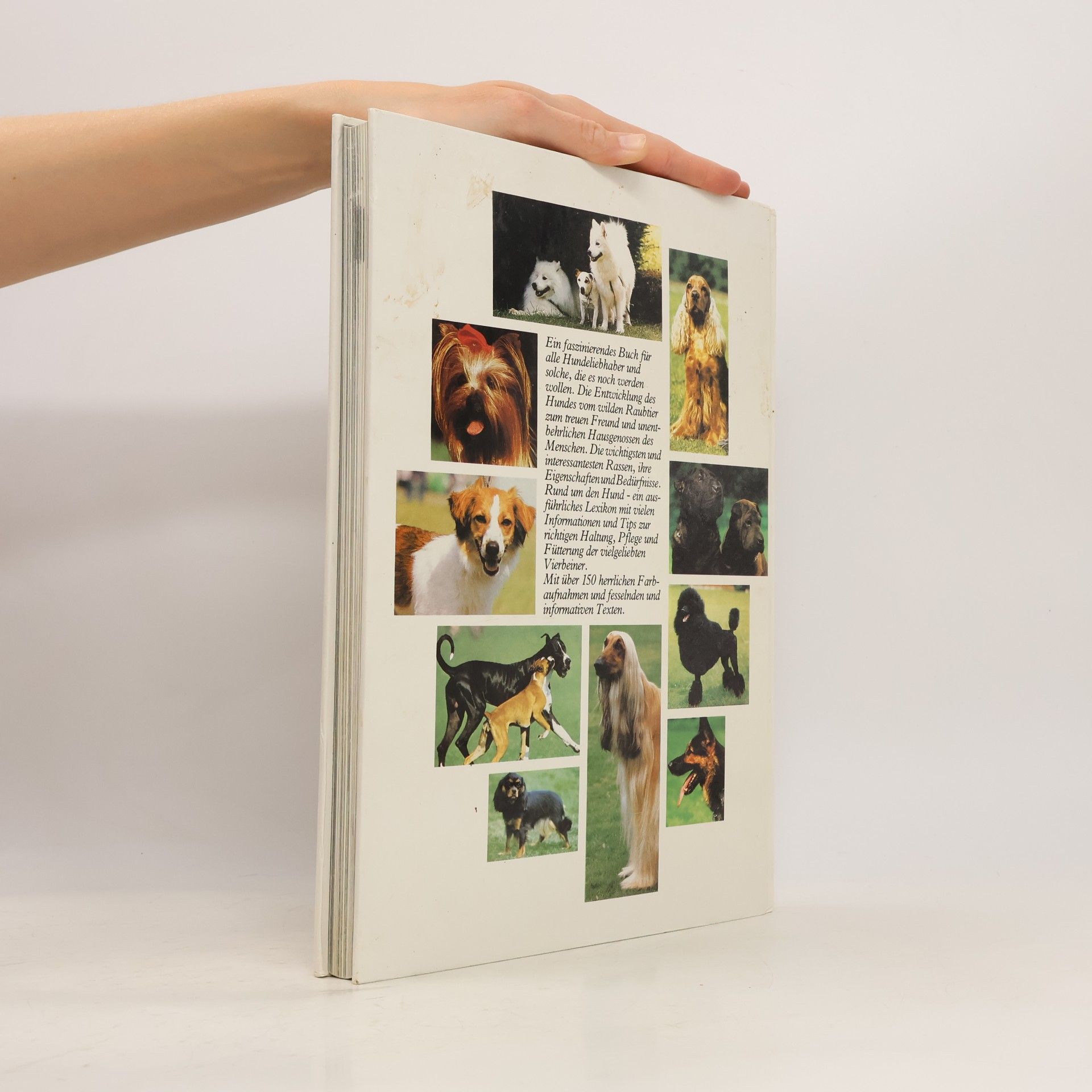 Autorenkollektiv Bilderlexikon der Hunde