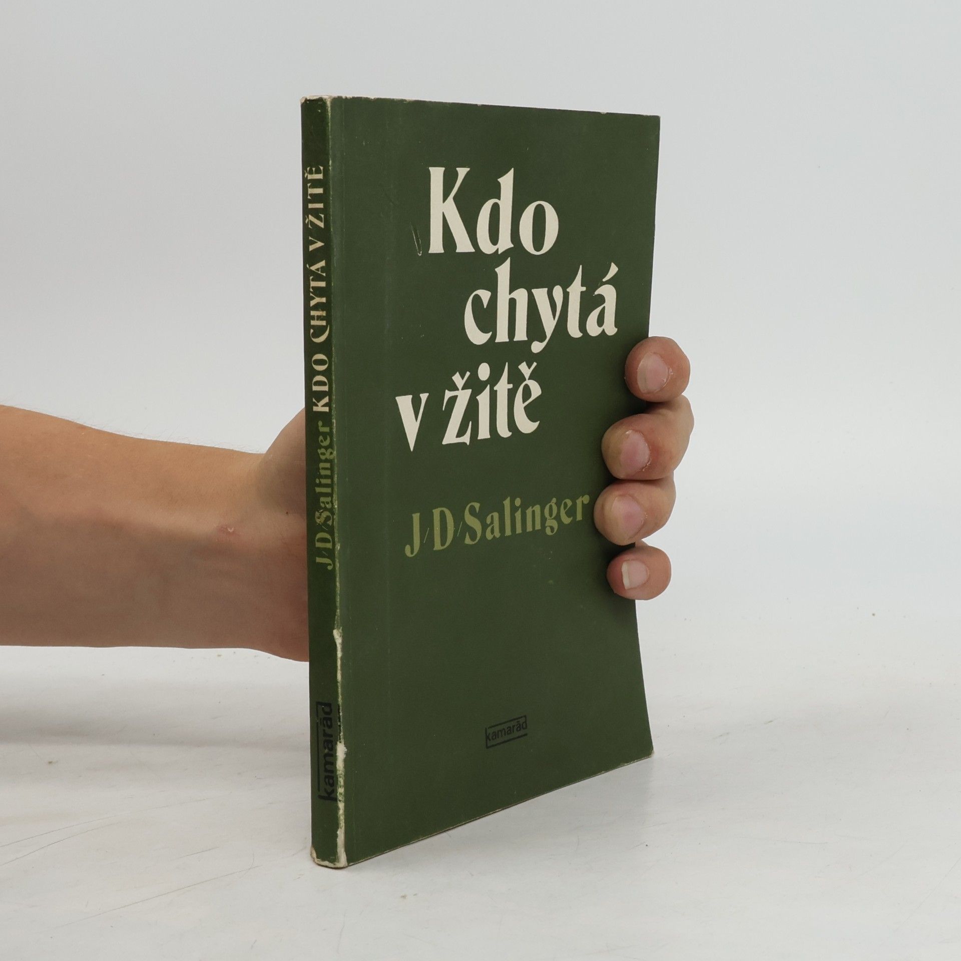 J. D. Salinger Kdo chytá v žitě