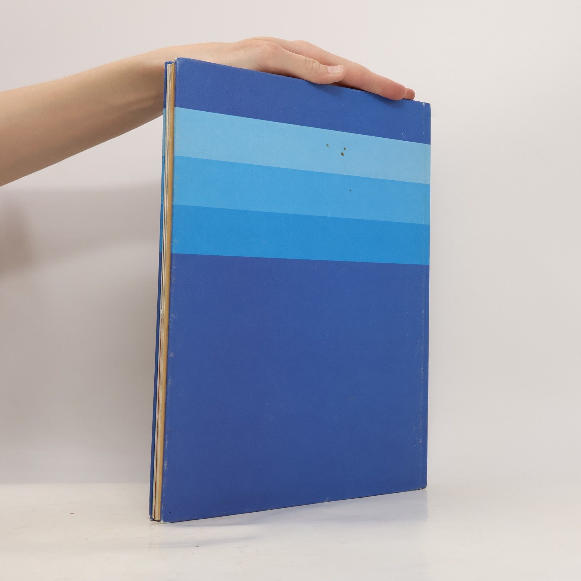 Autorenkollektiv Burda grosses Bastel-Buch
