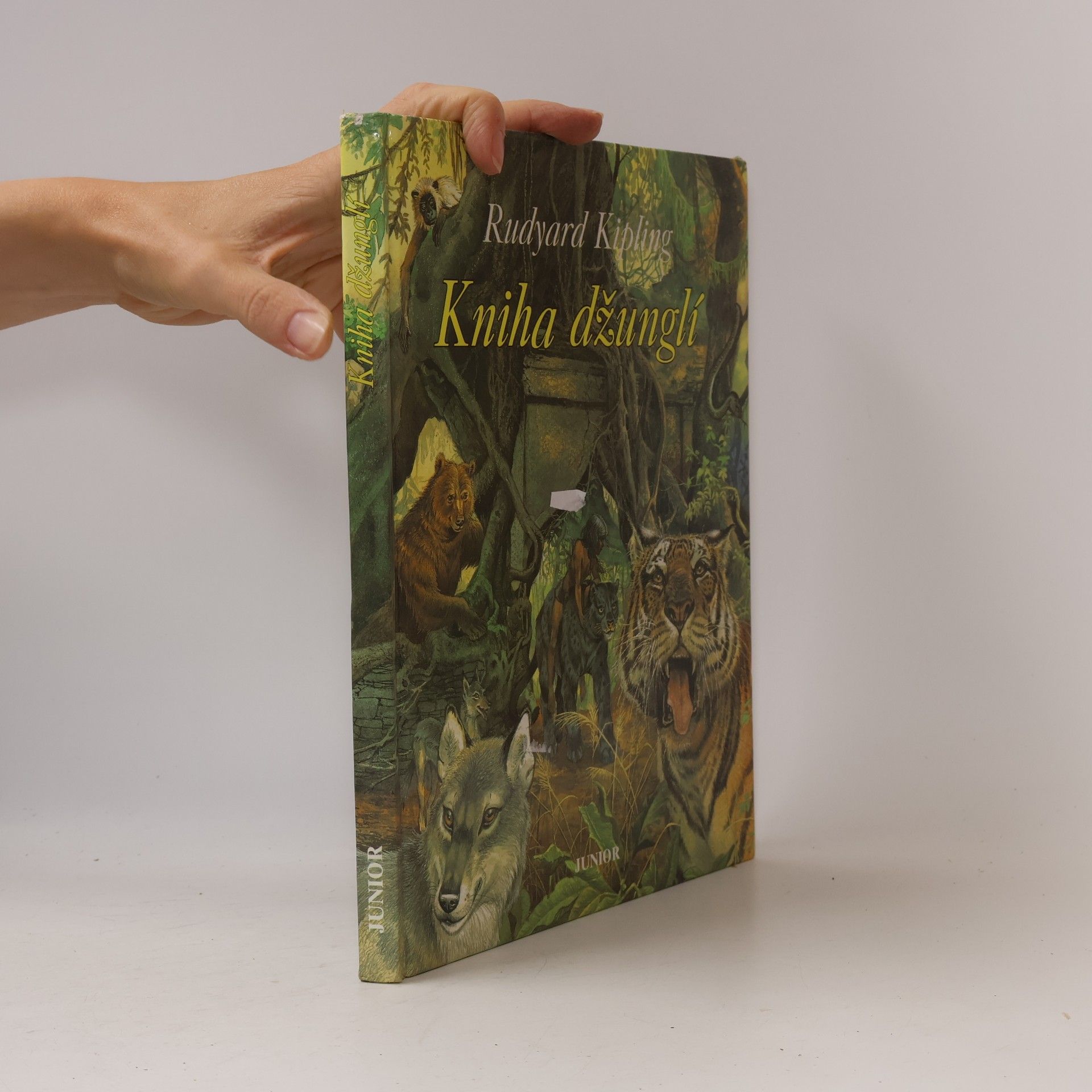 Rudyard Kipling Kniha džunglí