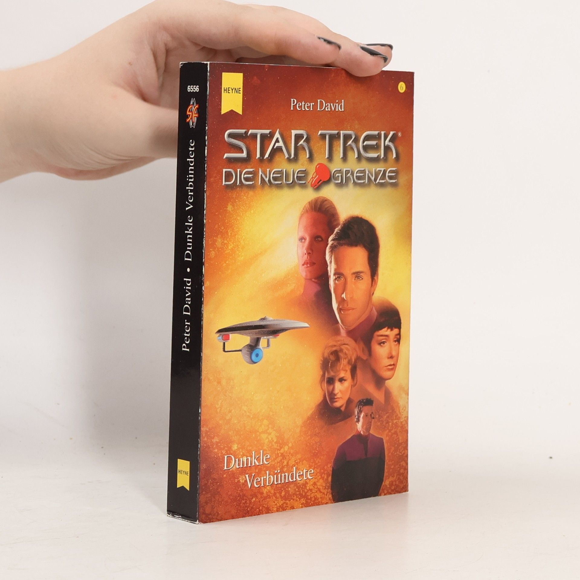 Peter David Star Trek, Die neue Grenze, Dunkle Verbündete
