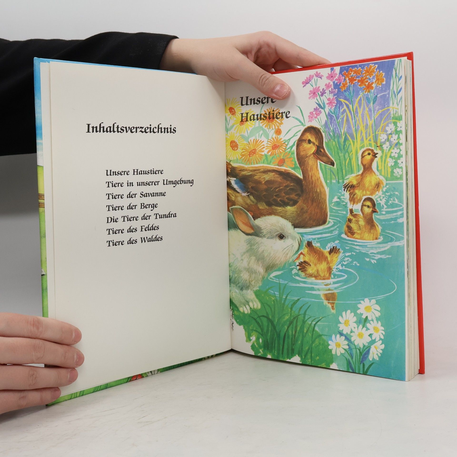 kolektiv Mein liebstes Tierbuch