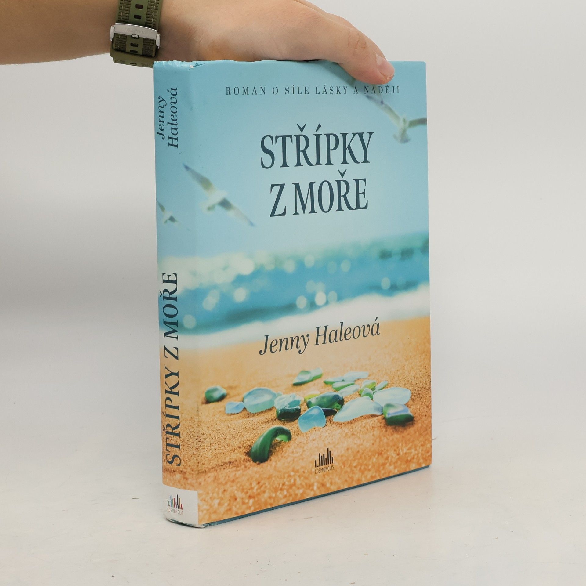 Jenny Hale Střípky z moře