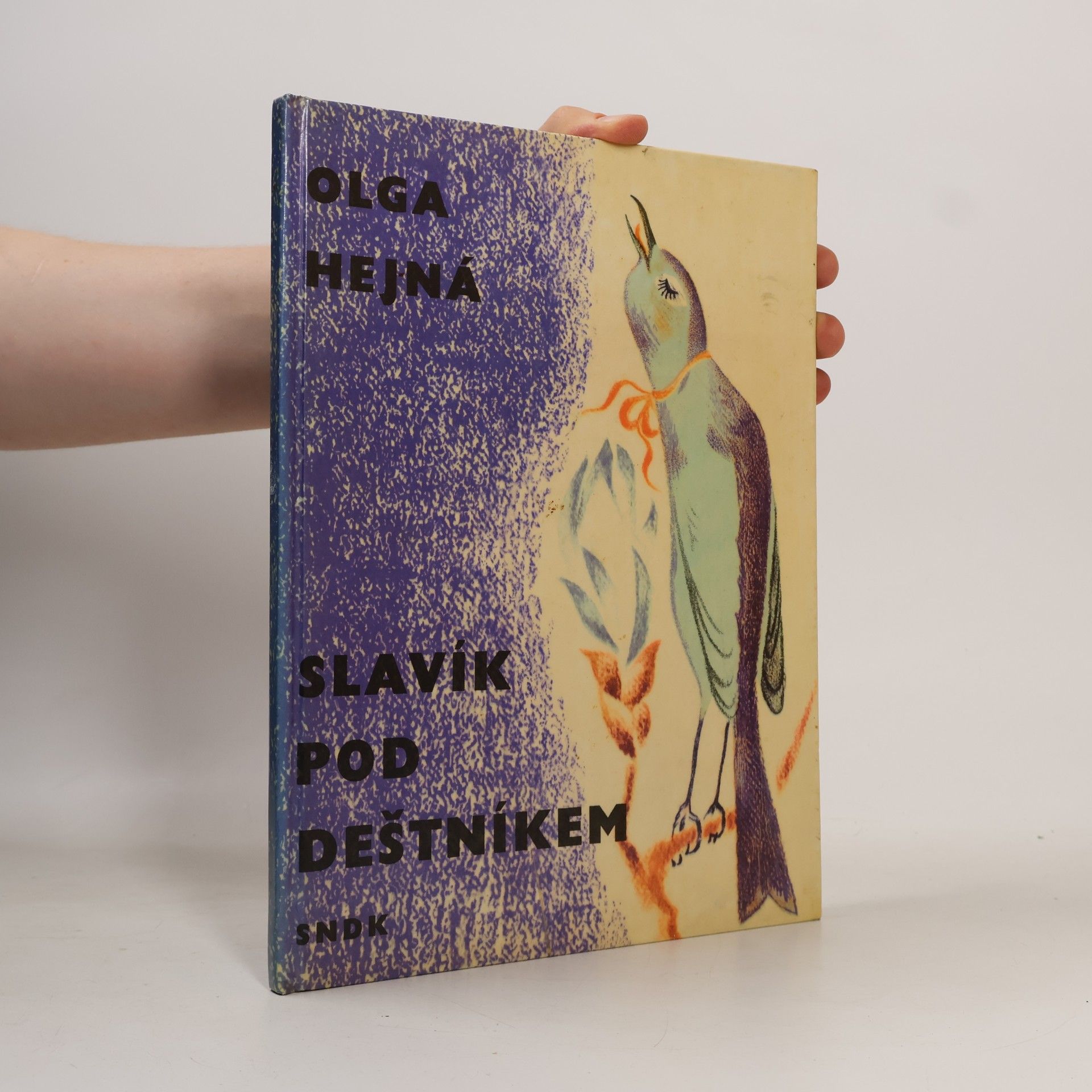 Miloslav Hejný Slavík pod deštníkem