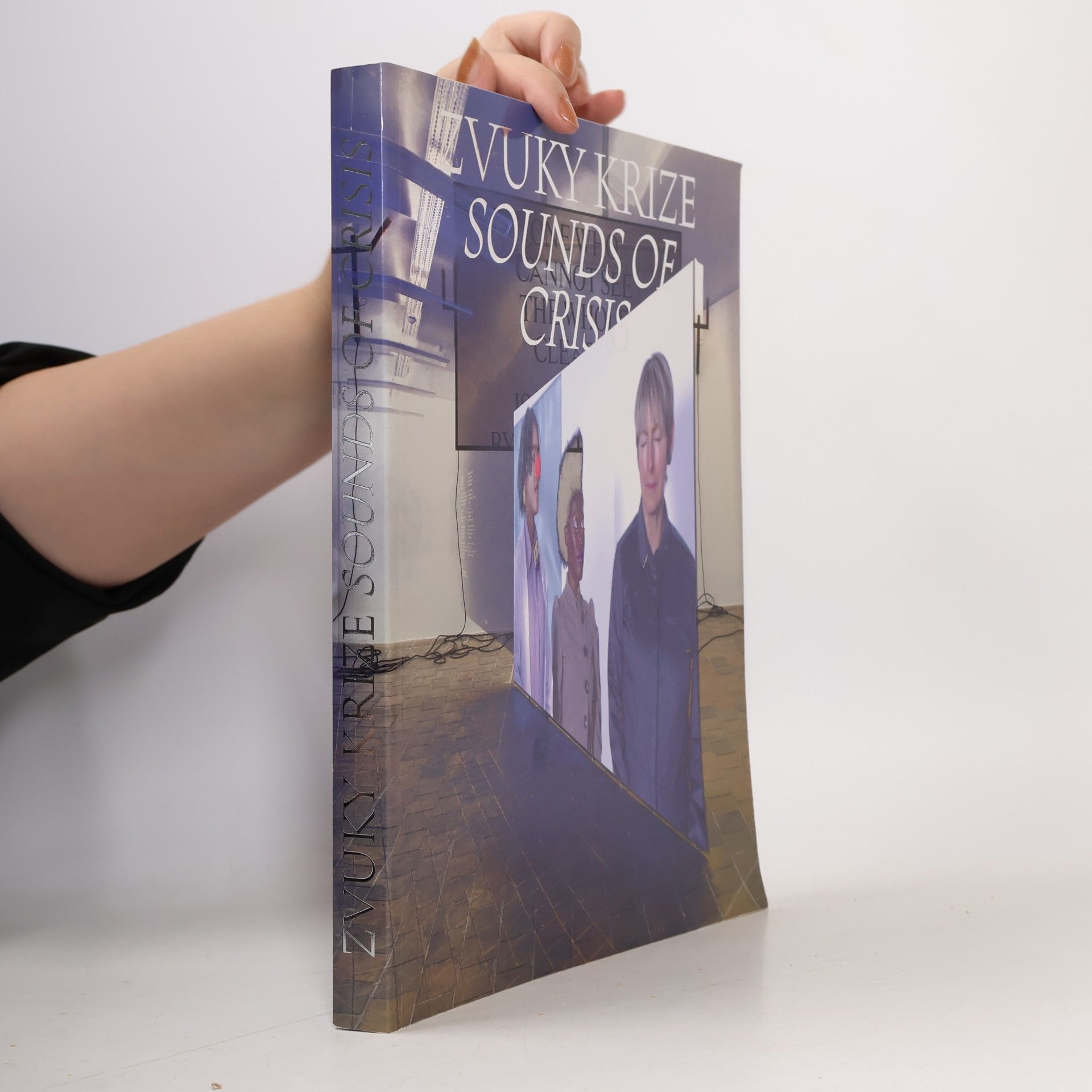 Collectif d'auteurs Zvuky krize. Sounds of Crisis