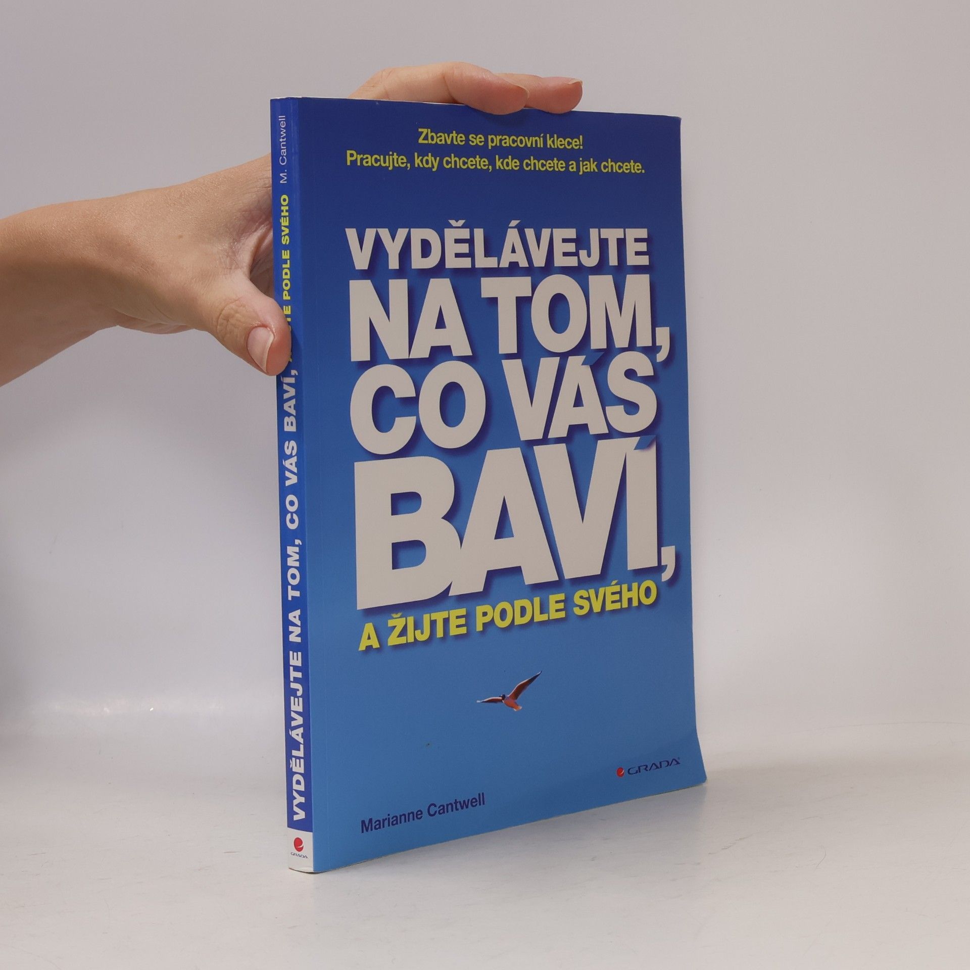 Marianne Cantwell Vydělávejte na tom, co vás baví, a žijte podle svého