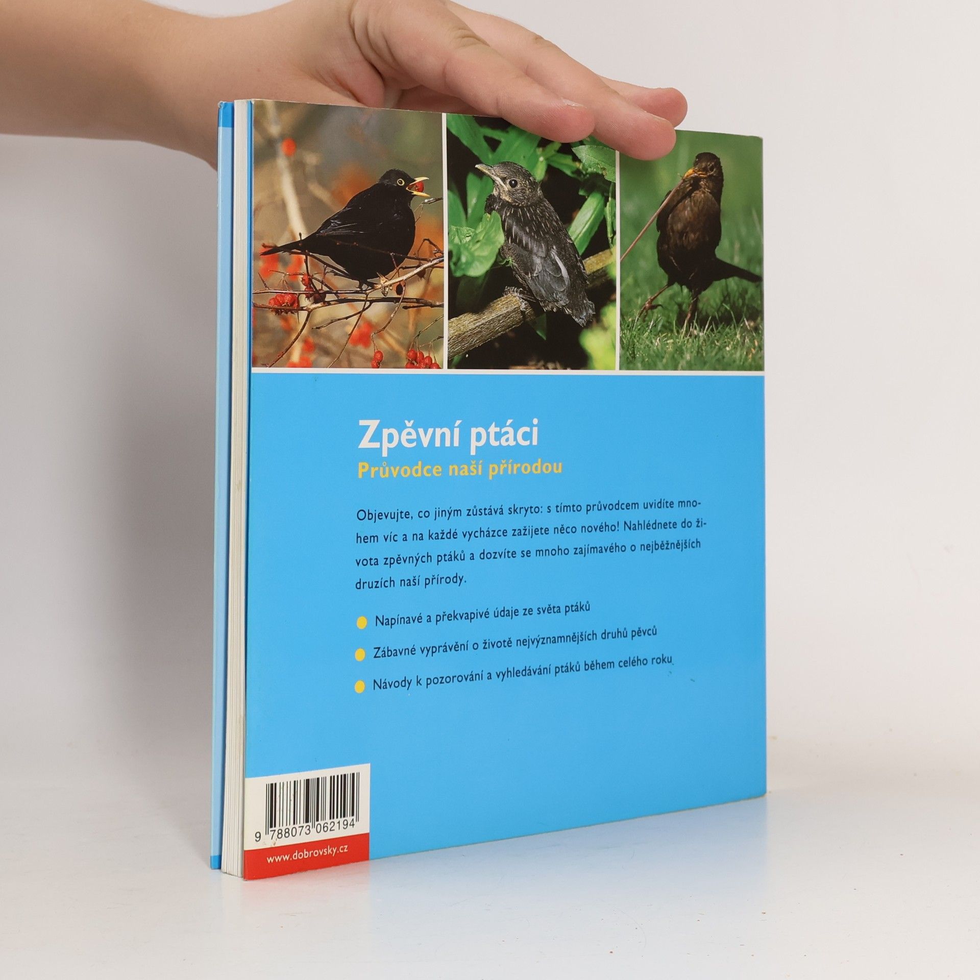 Veronika Straaß Zpěvní ptáci - Průvodce naší přírodou