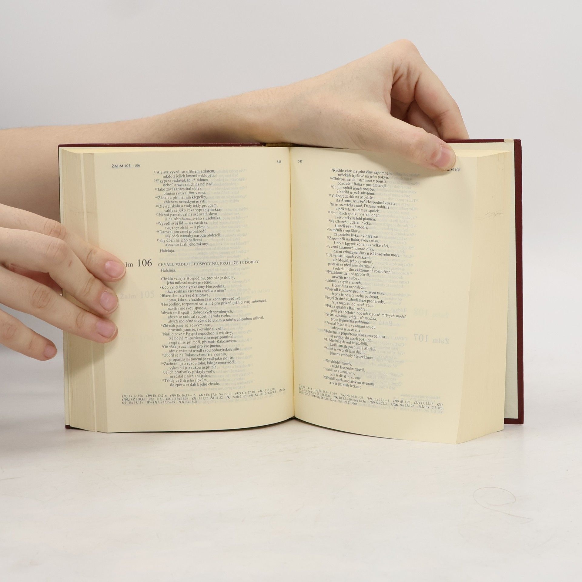 Bohumil Vančura Bible