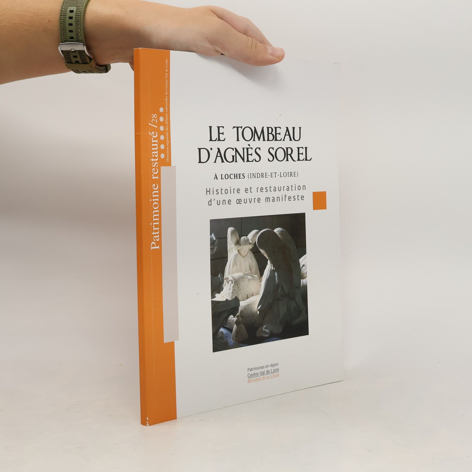 Fabrice Morio Le Tombeau D'agnés Sorel