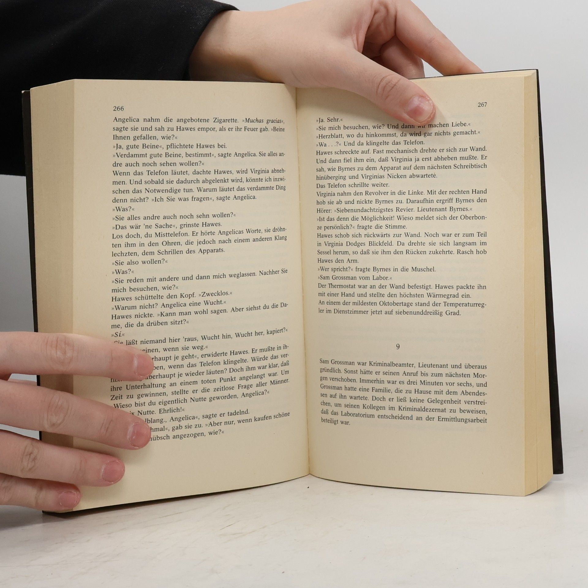 Raymond Chandler Der grosse Schlaf. Die lastige Witwe. Van der Valk und die Katzen