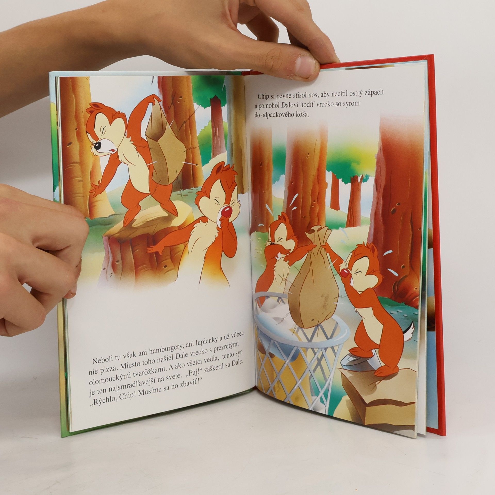 Autorenkollektiv Chip a Dale a smutný skunk