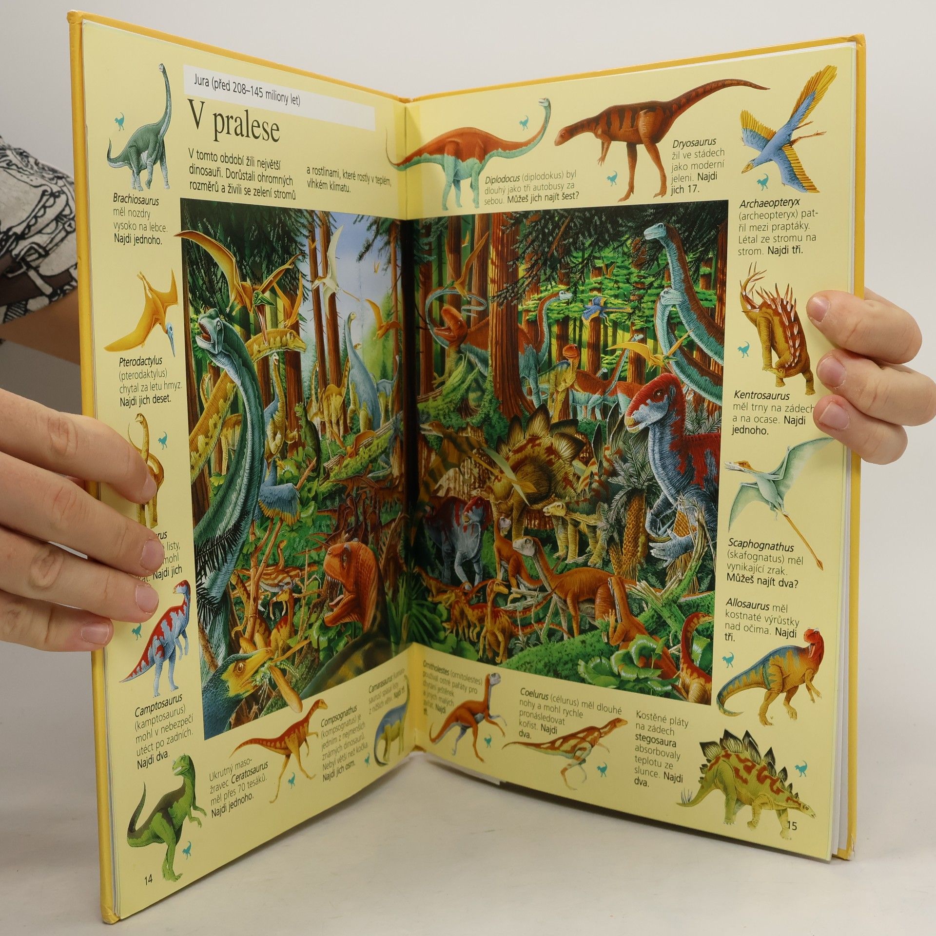 Autorenkollektiv Velké putování za dinosaury