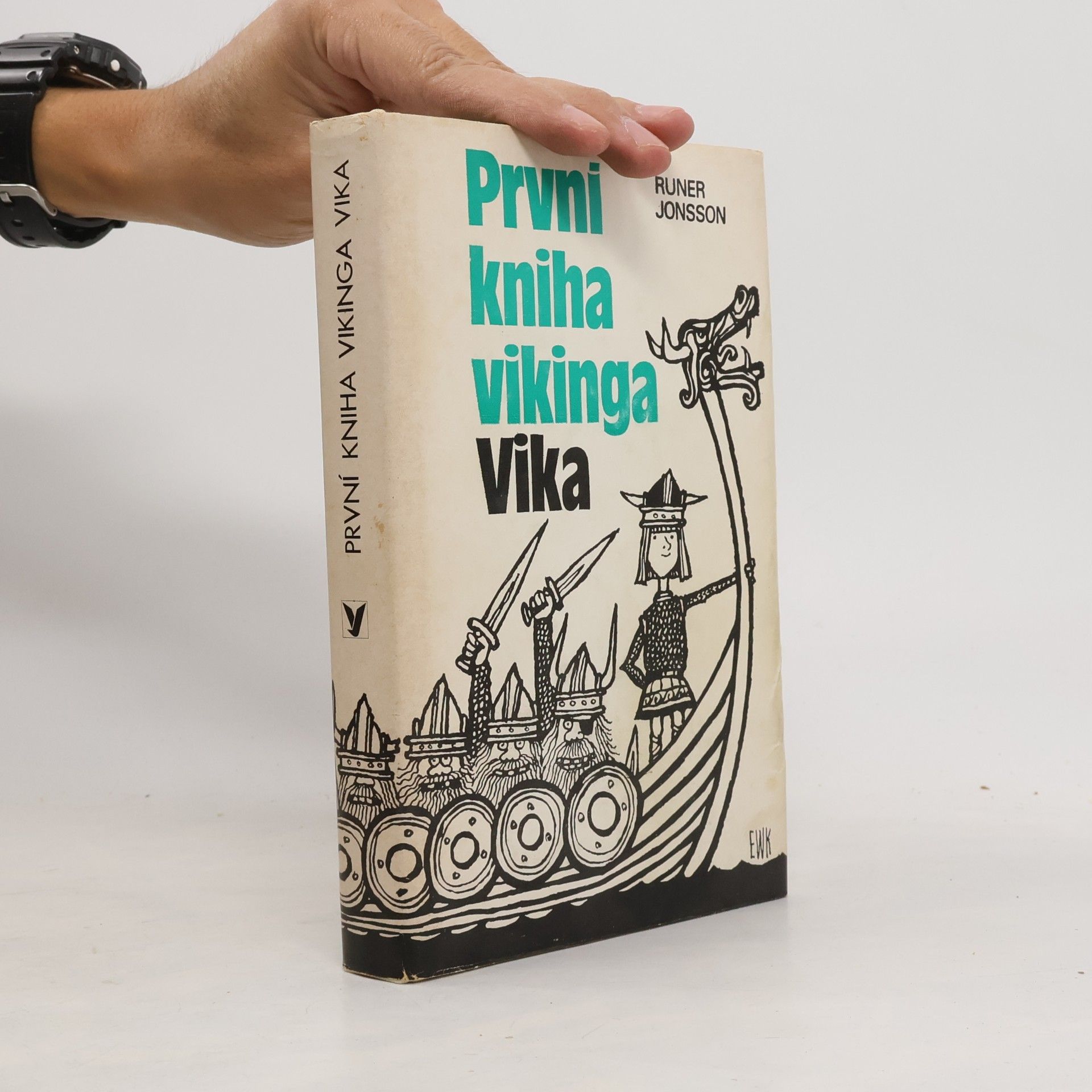První kniha vikinga Vika