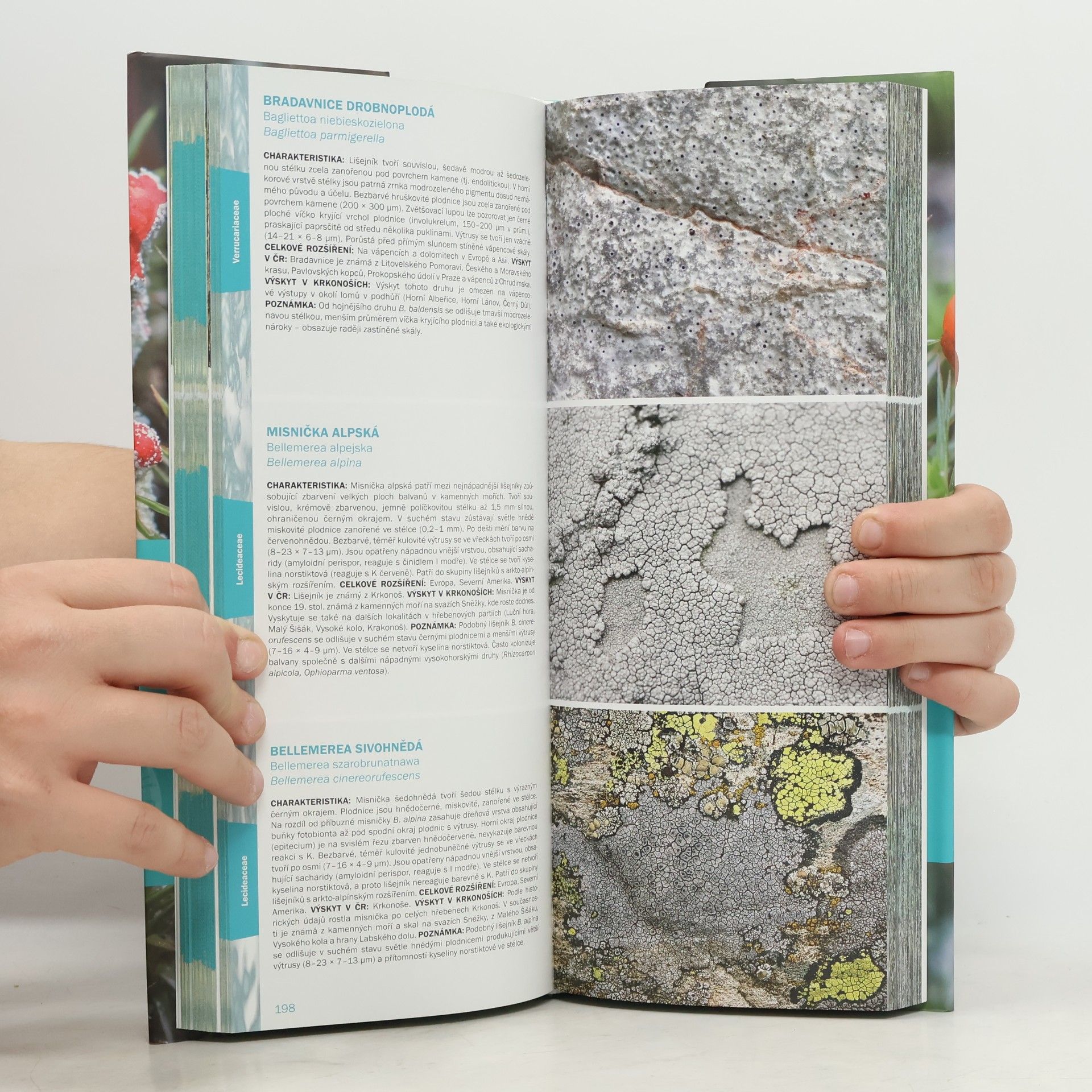 Josef Halda Atlas krkonošských mechorostů, lišejníků a hub. 1, Mechorosty a lišejníky