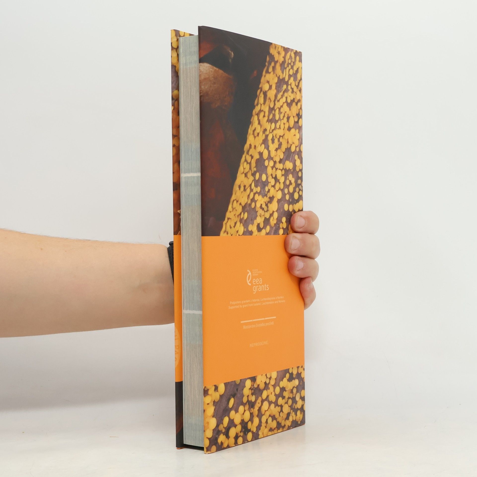 Rostislav Fellner Atlas krkonošských mechorostů, lišejníků a hub. 2, Houby