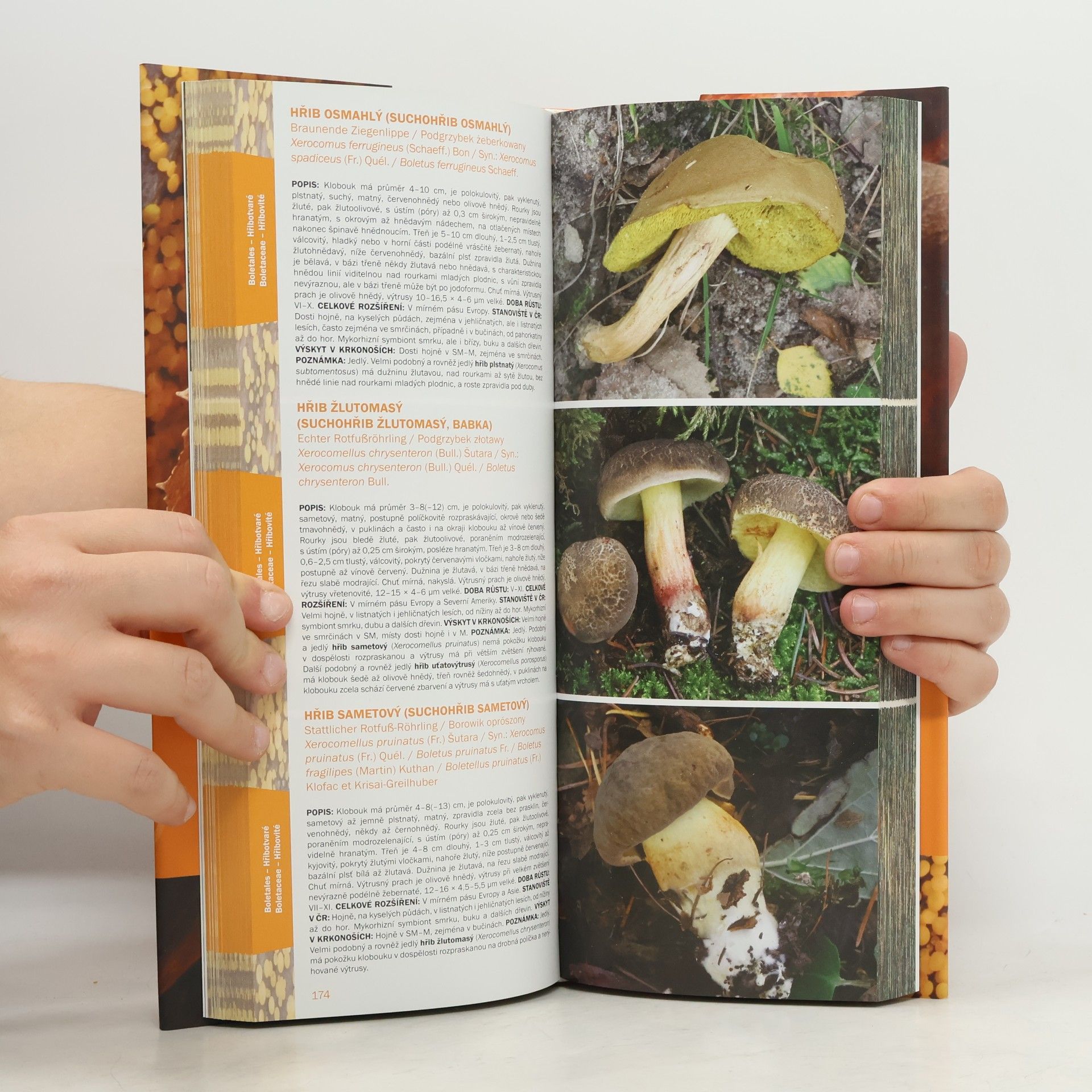 Rostislav Fellner Atlas krkonošských mechorostů, lišejníků a hub. 2, Houby